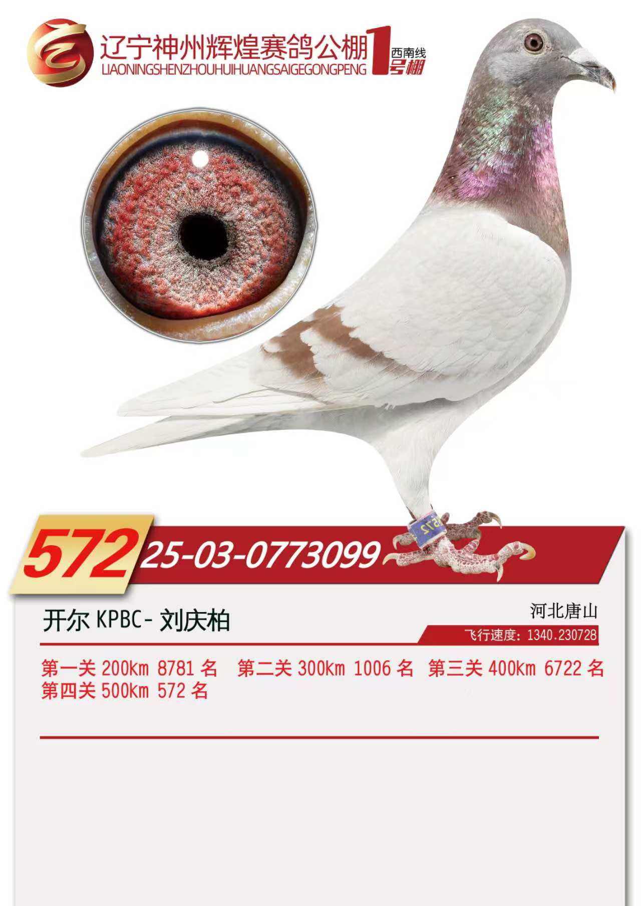 25���������x��1̖��Qِ572��