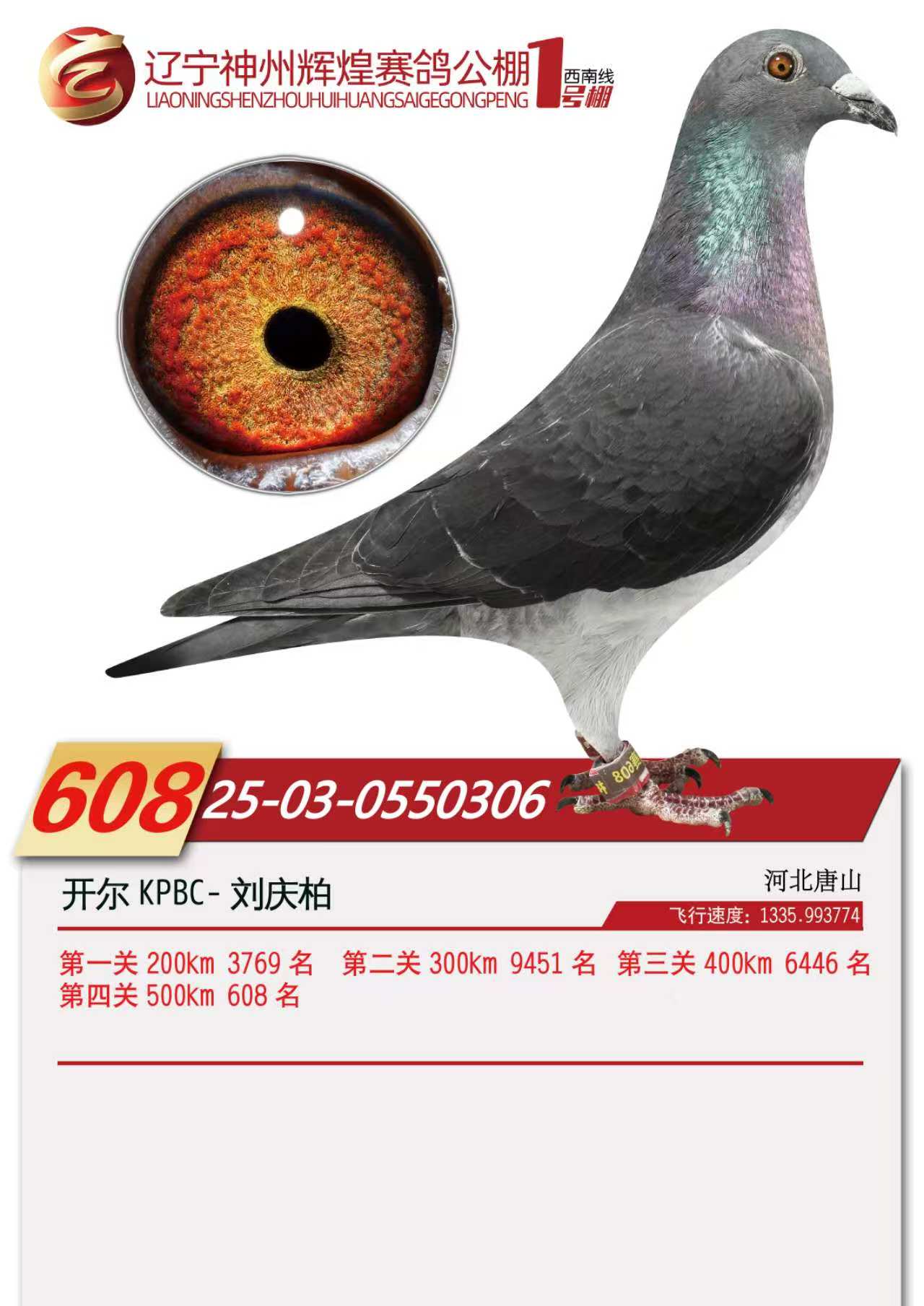 25���������x��1̖(h��o)��Qِ608��