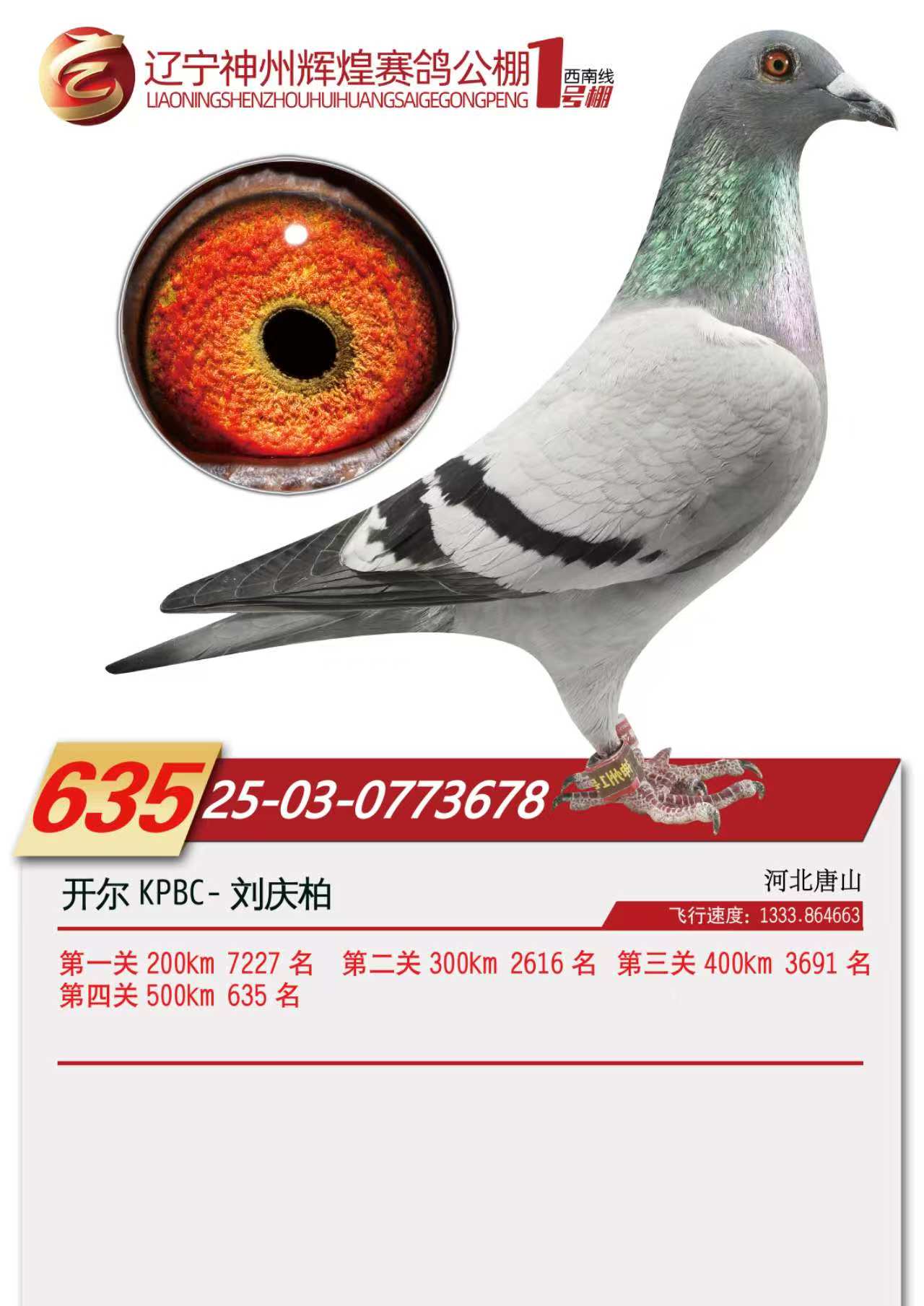 25���������x��1̖��Qِ635��