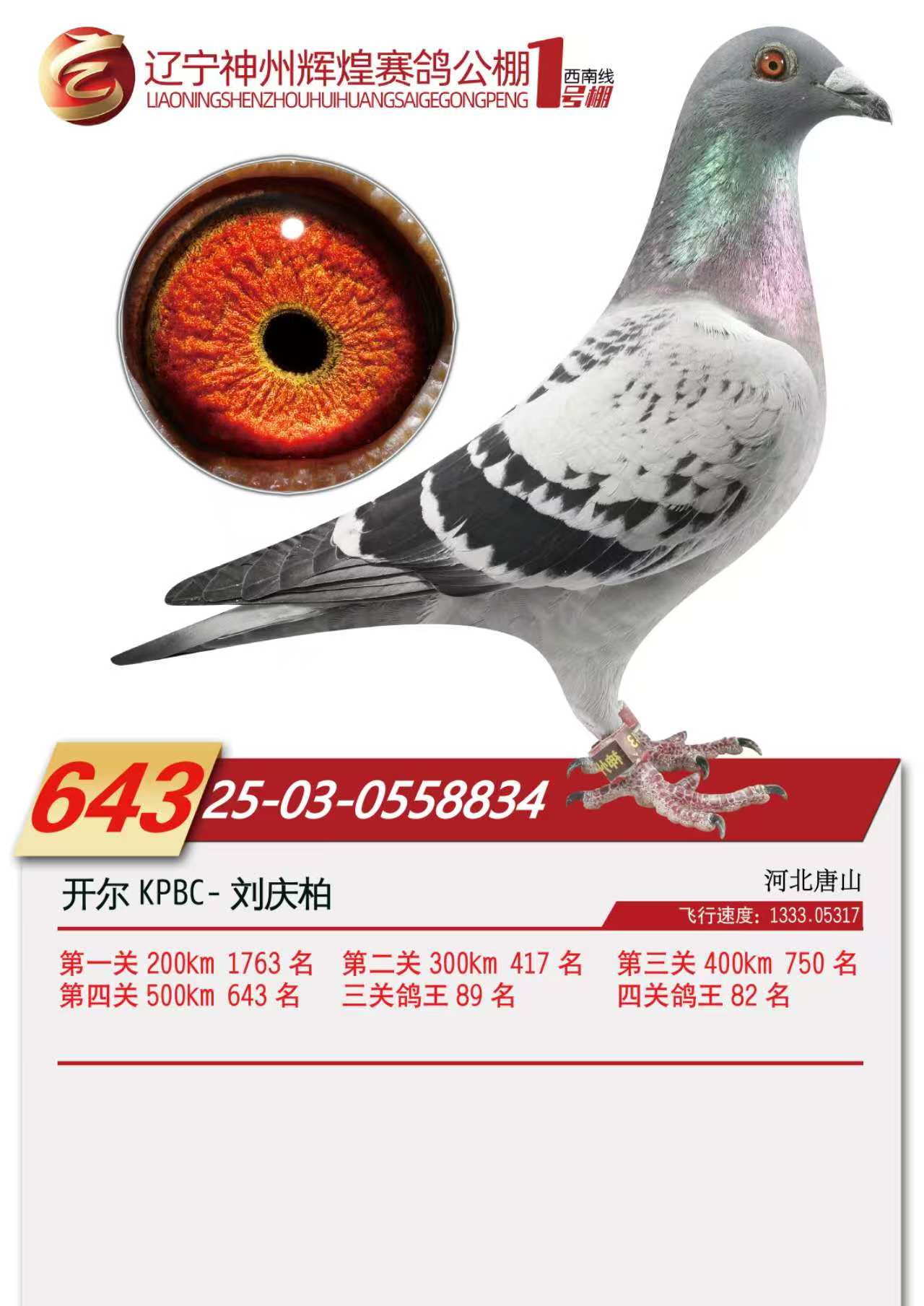 25���������x��1̖��Qِ643��