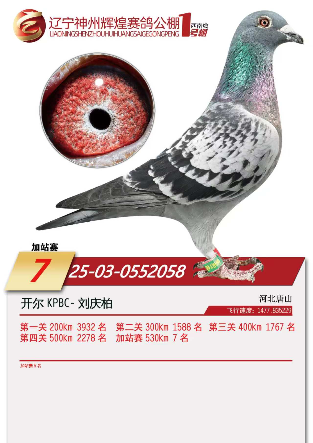 25���������x��1̖���վ5��������7