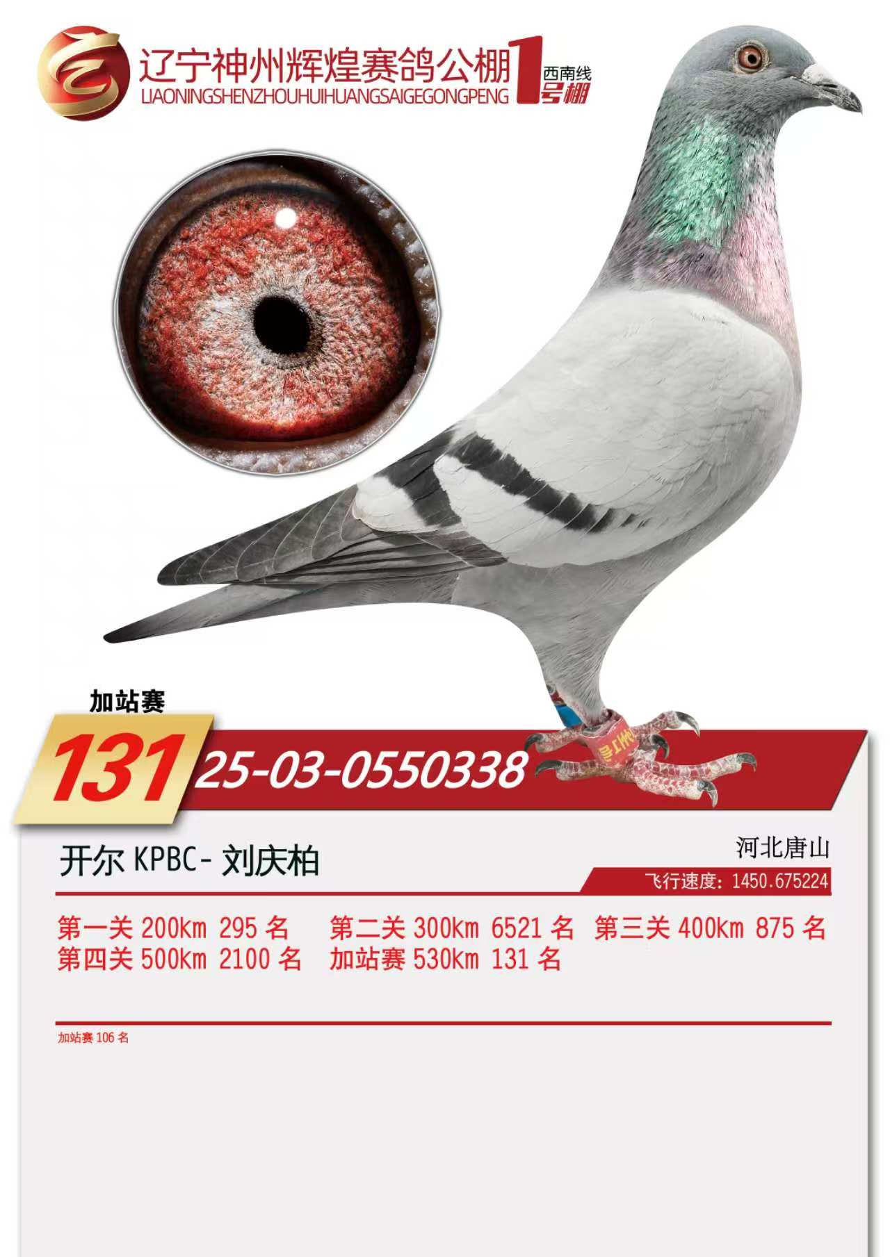 25��������1̖(h��o)��վ106��������131