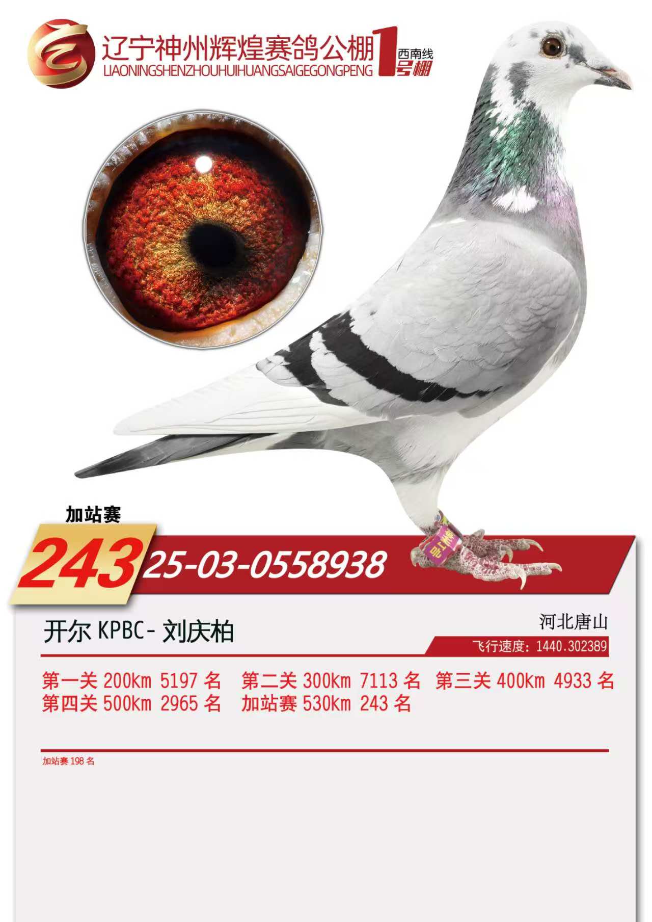 25��������1̖(h��o)��վ198��������243