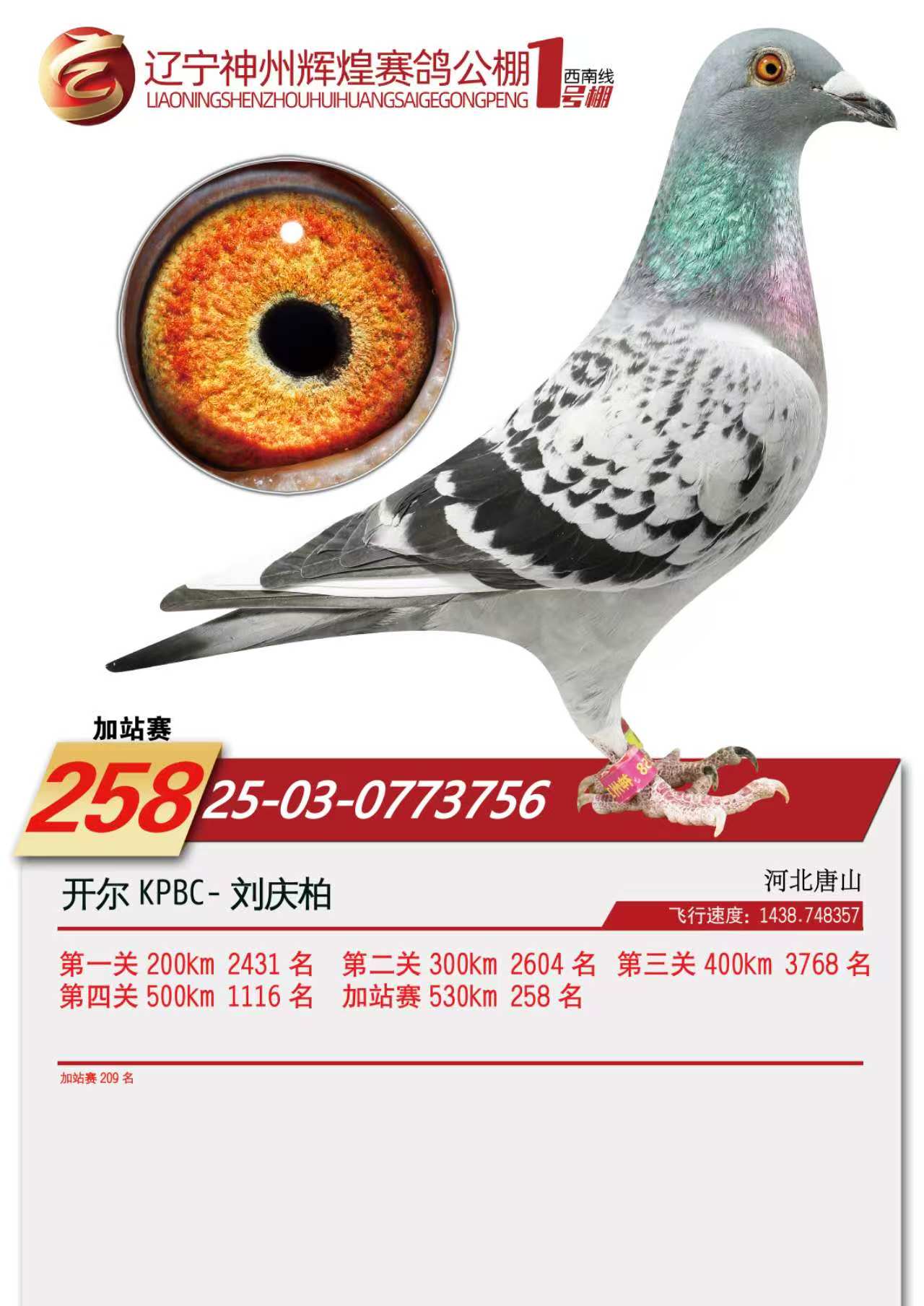 25��������1̖(h��o)��վ209��������258