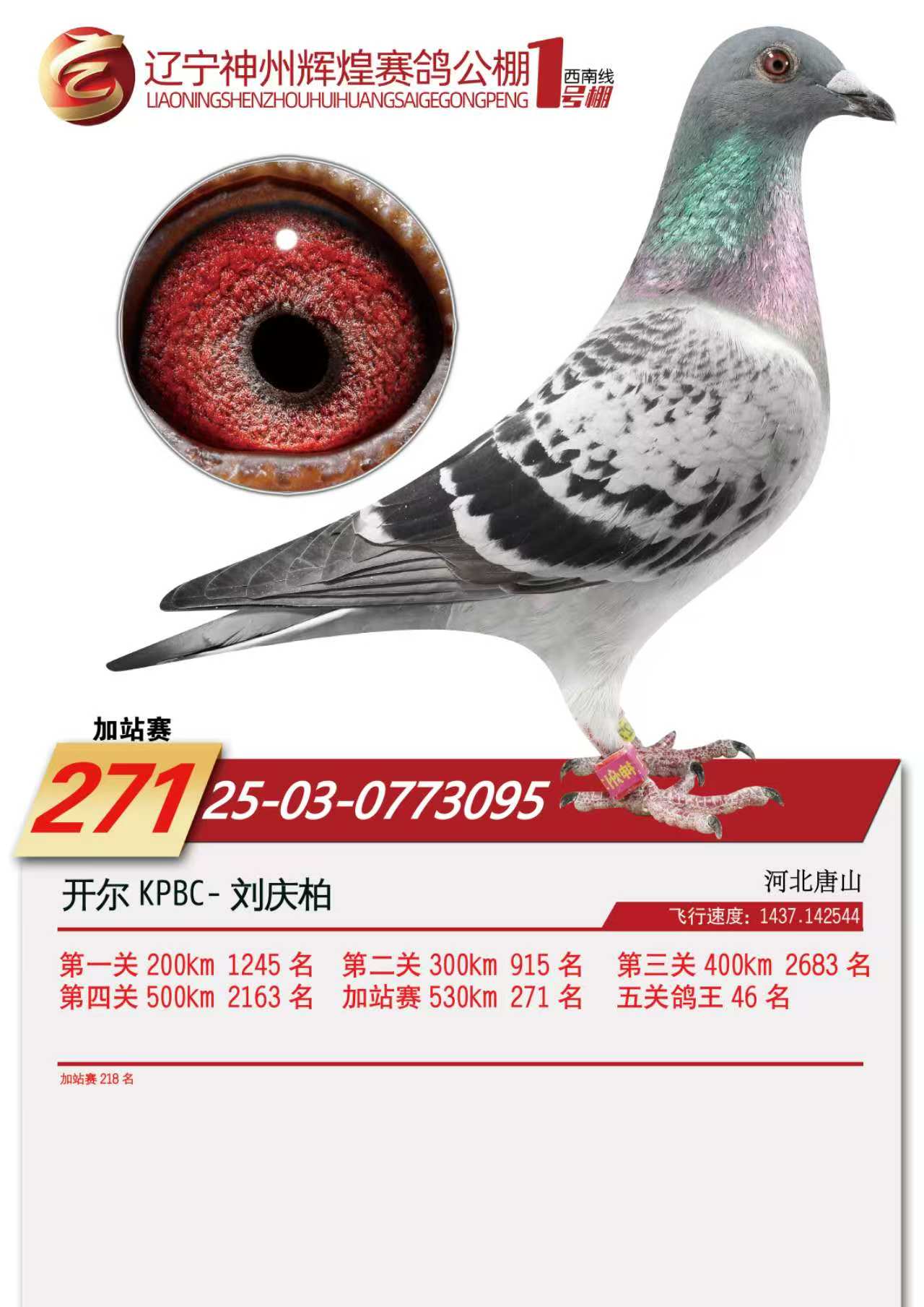 25��������1̖��վ218��������271