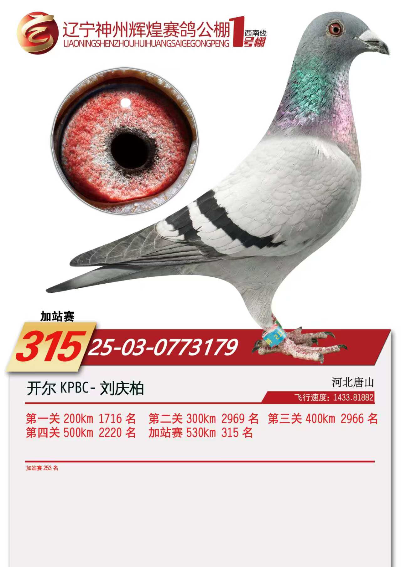 25��������1̖��վ253��������315