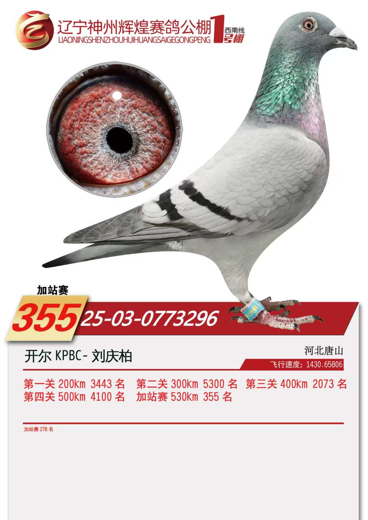 25��������1̖(h��o)��վ278��������355