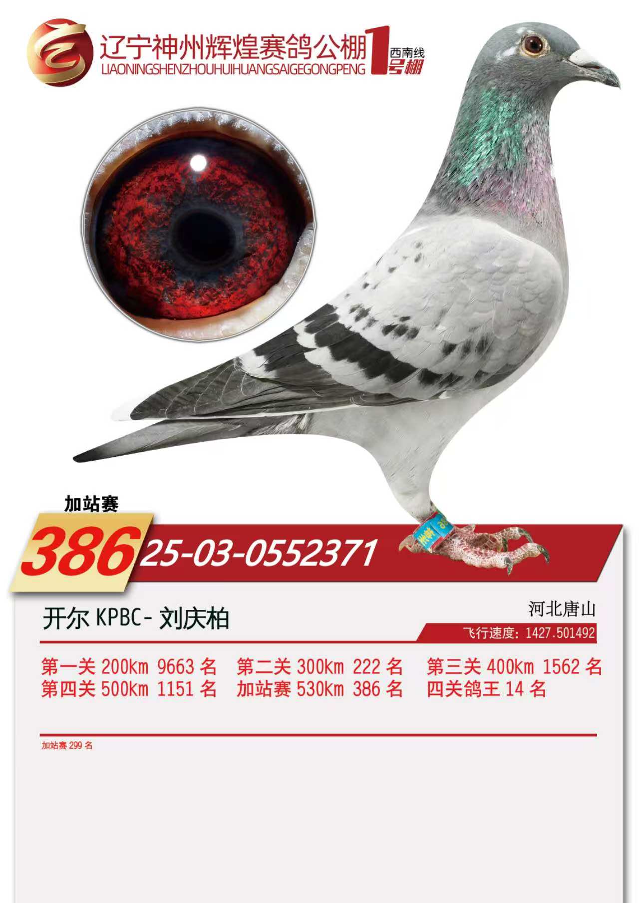 25���������x��1̖�����P(gu��n)����14��