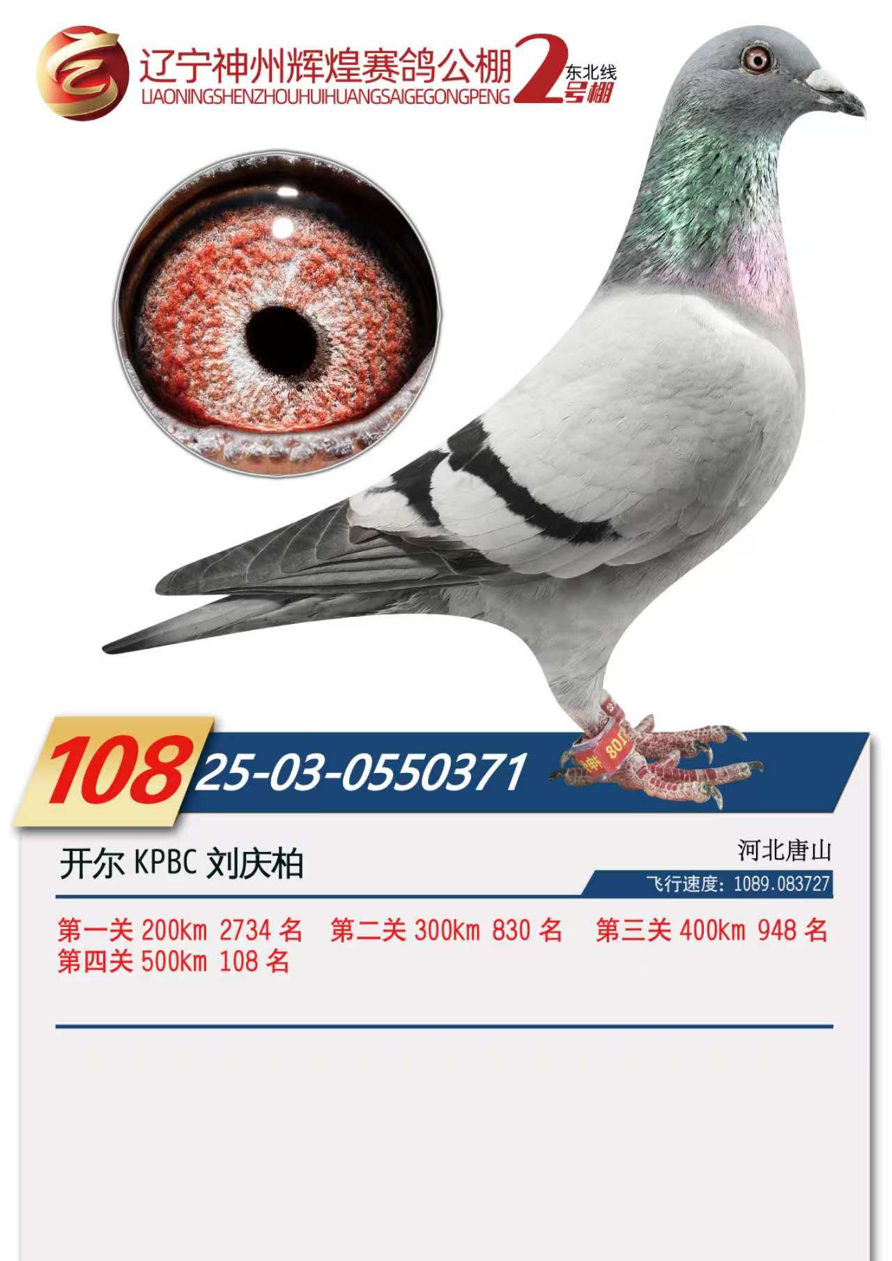 25���������x��2̖(h��o)��Qِ108��