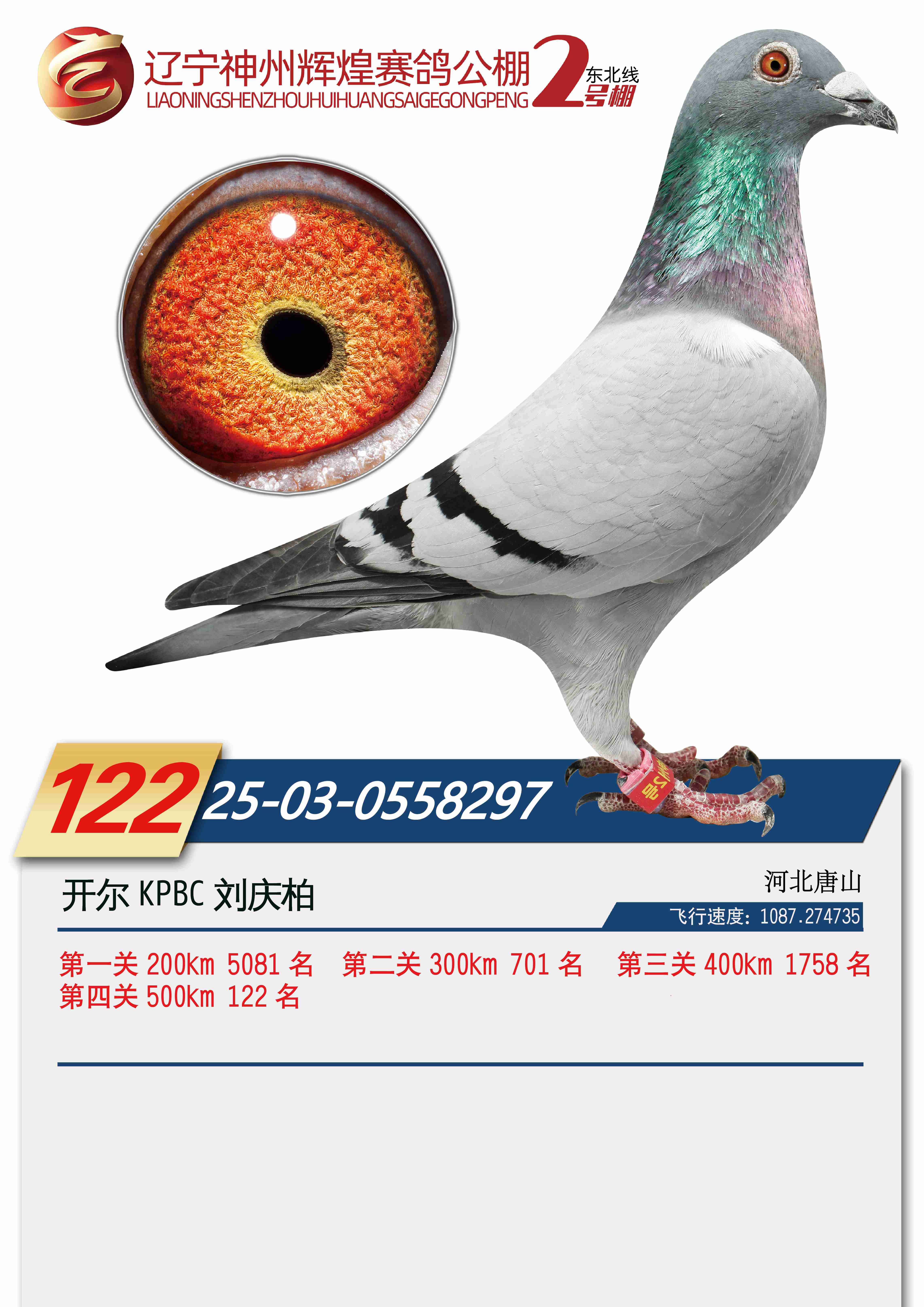 25���������x��2̖(h��o)��Qِ122��