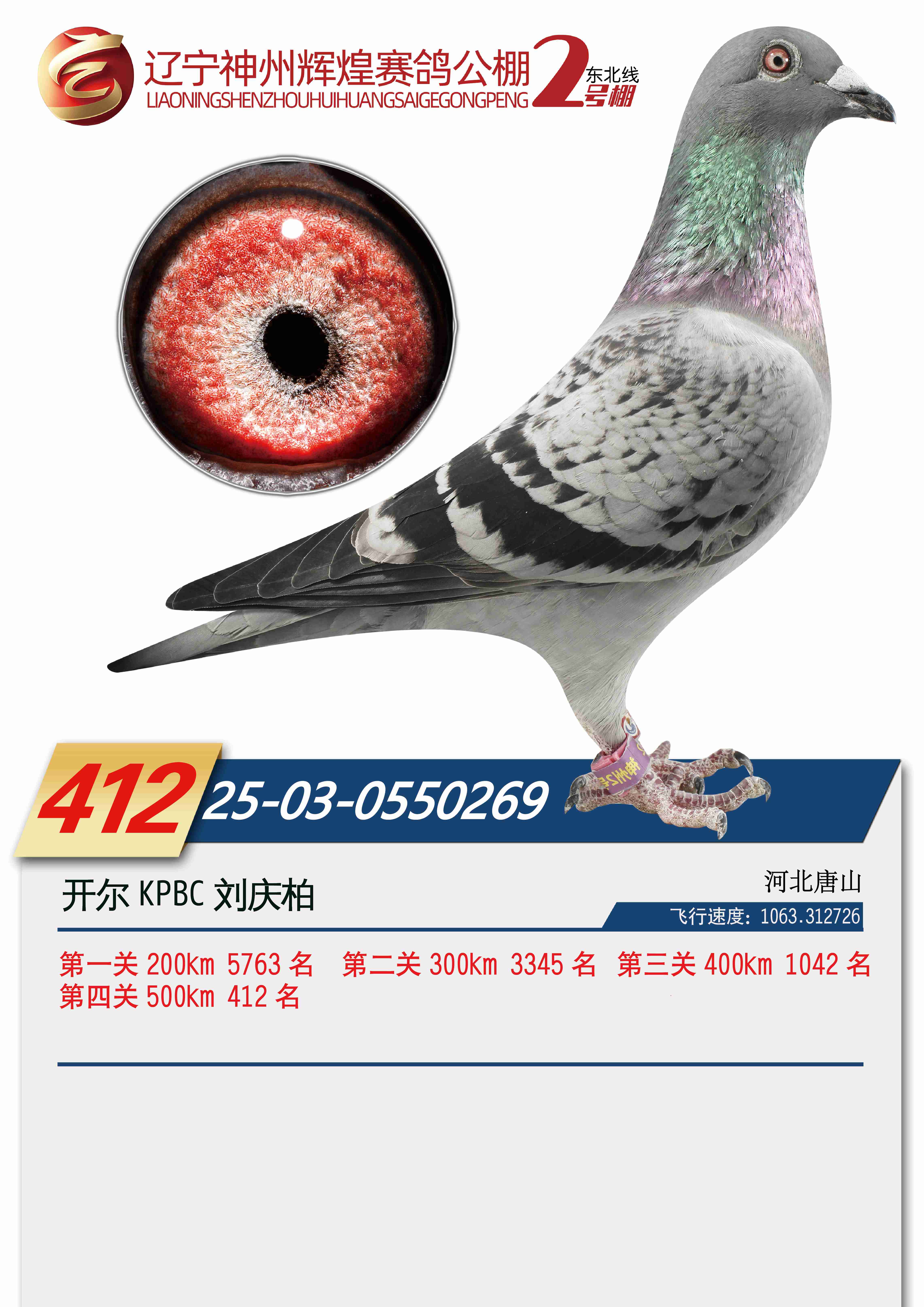 25���������x��2̖��Qِ412��