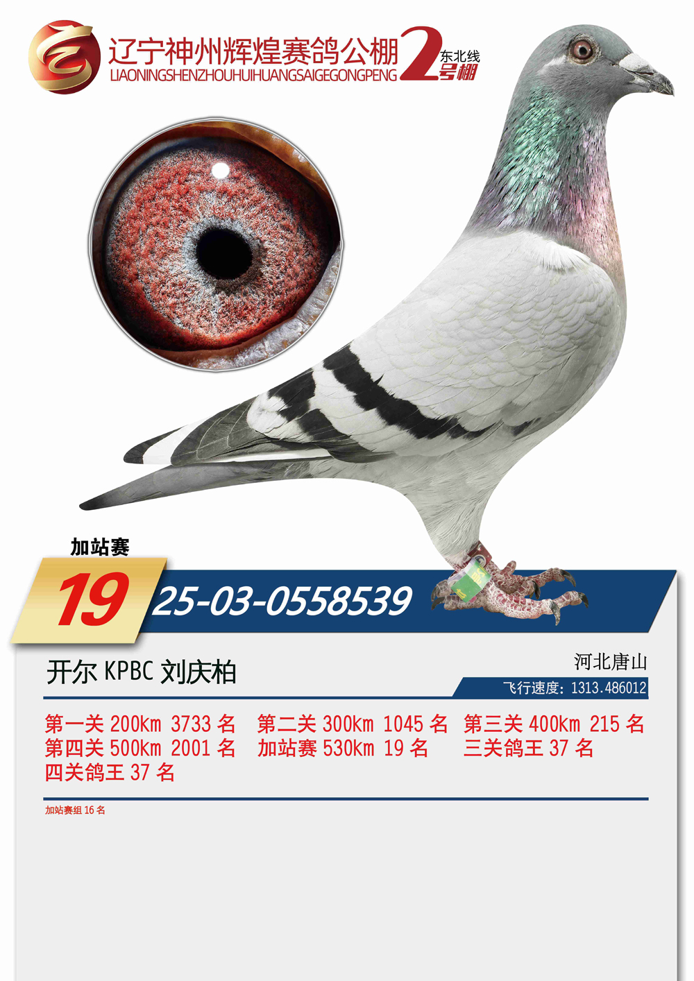 25��������2̖(h��o)���վ16��������19��