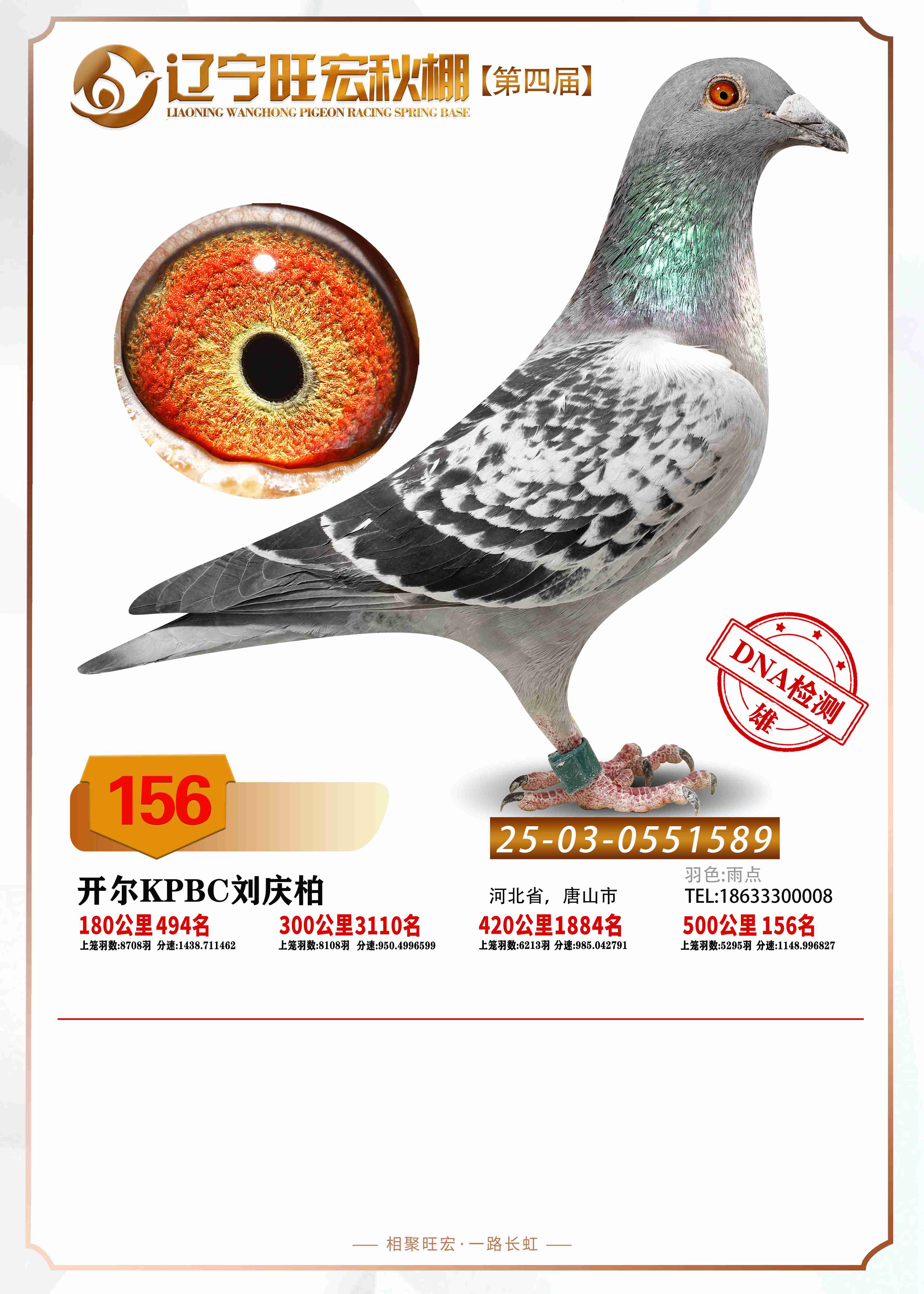 25�����|������Qِ156��