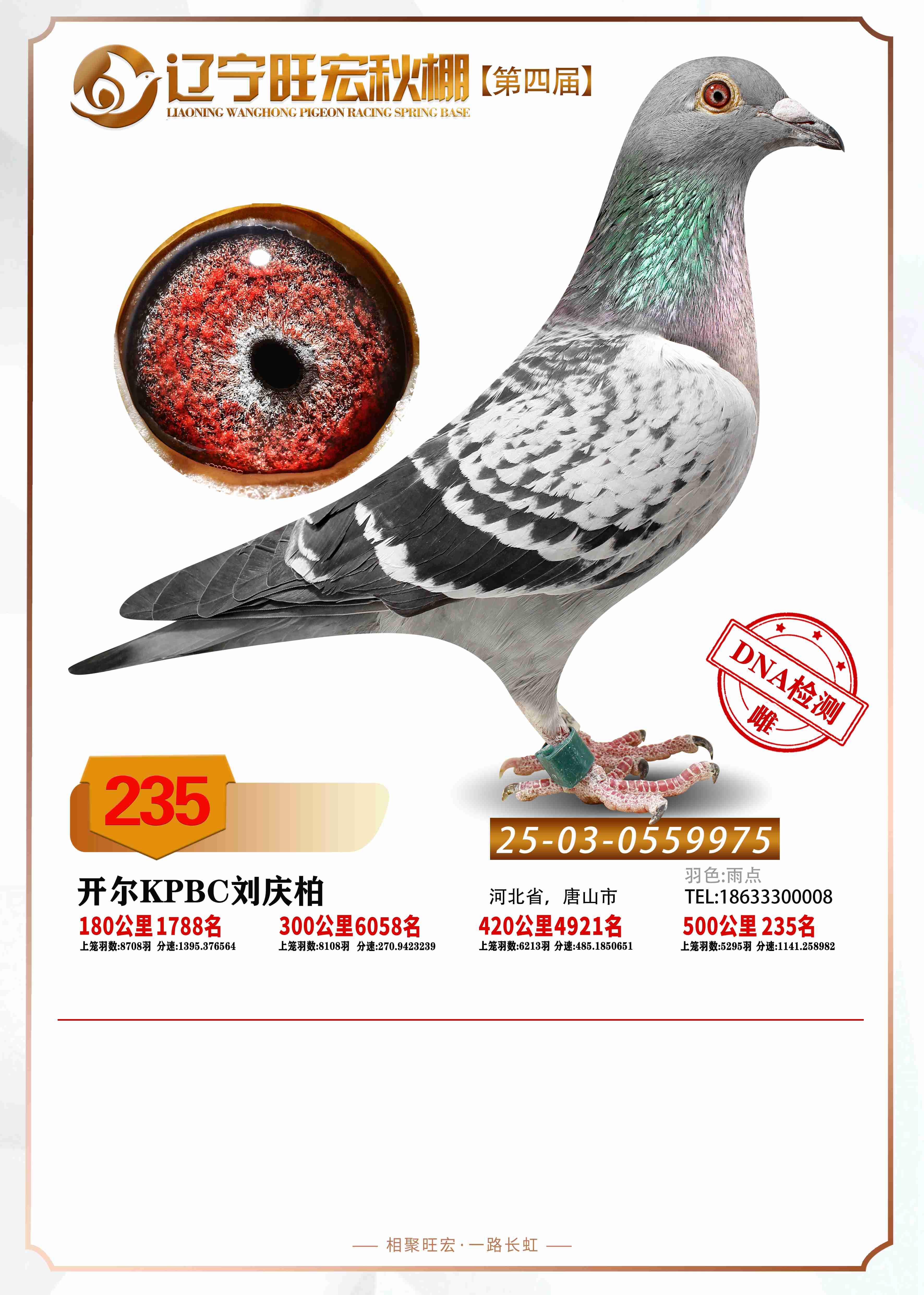 25�����|������Qِ235��