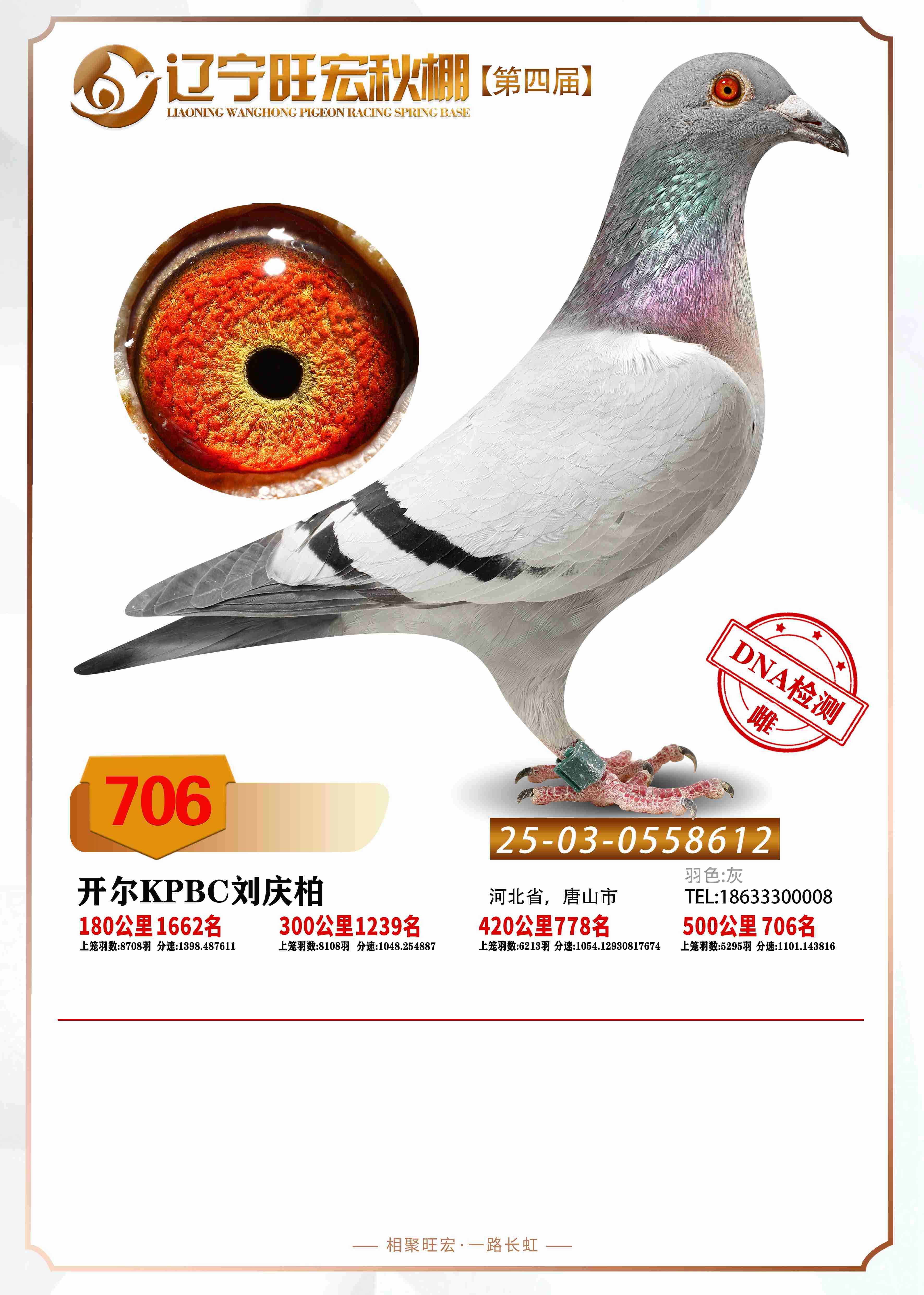 25�����|������Qِ706��