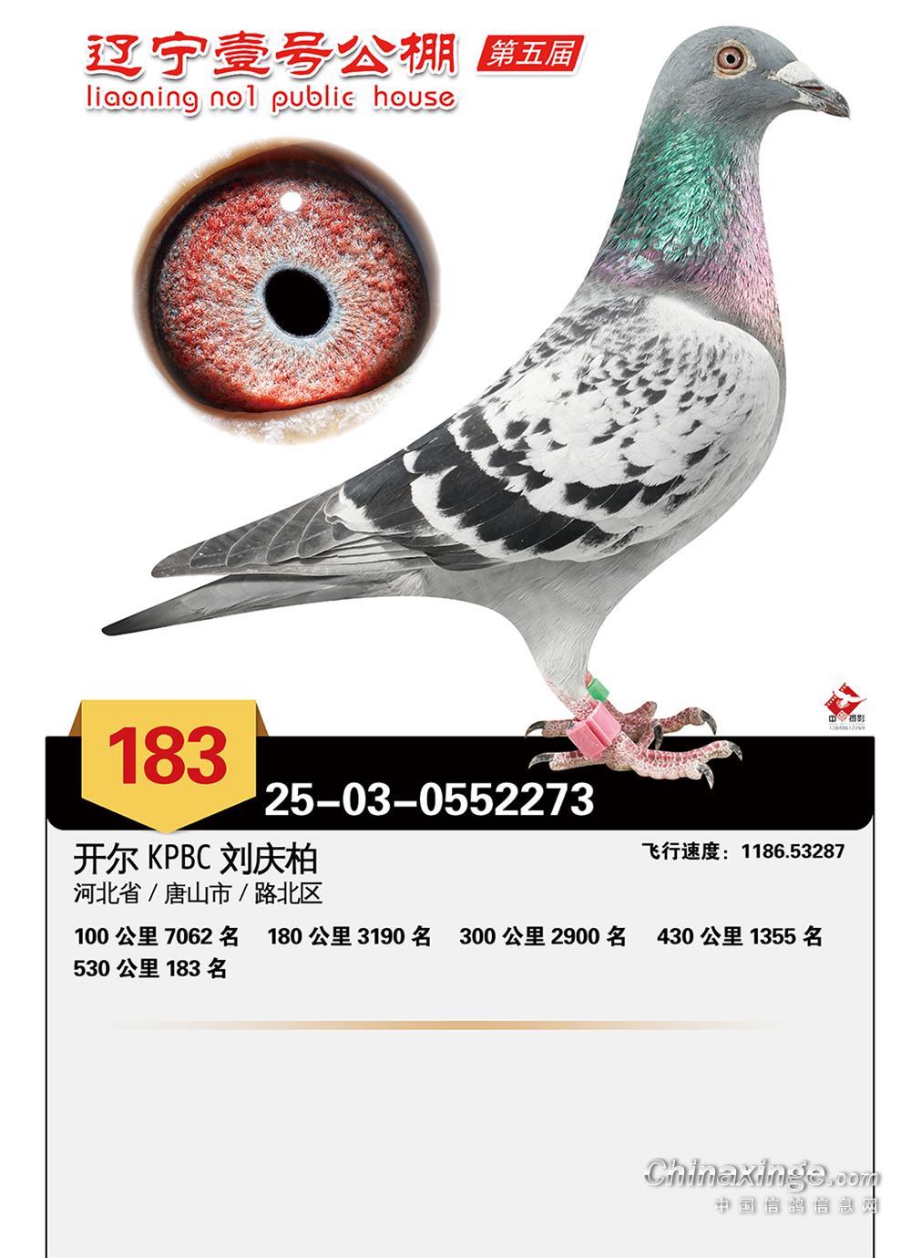 25�����|��Ҽ̖(h��o)�Qِ183��