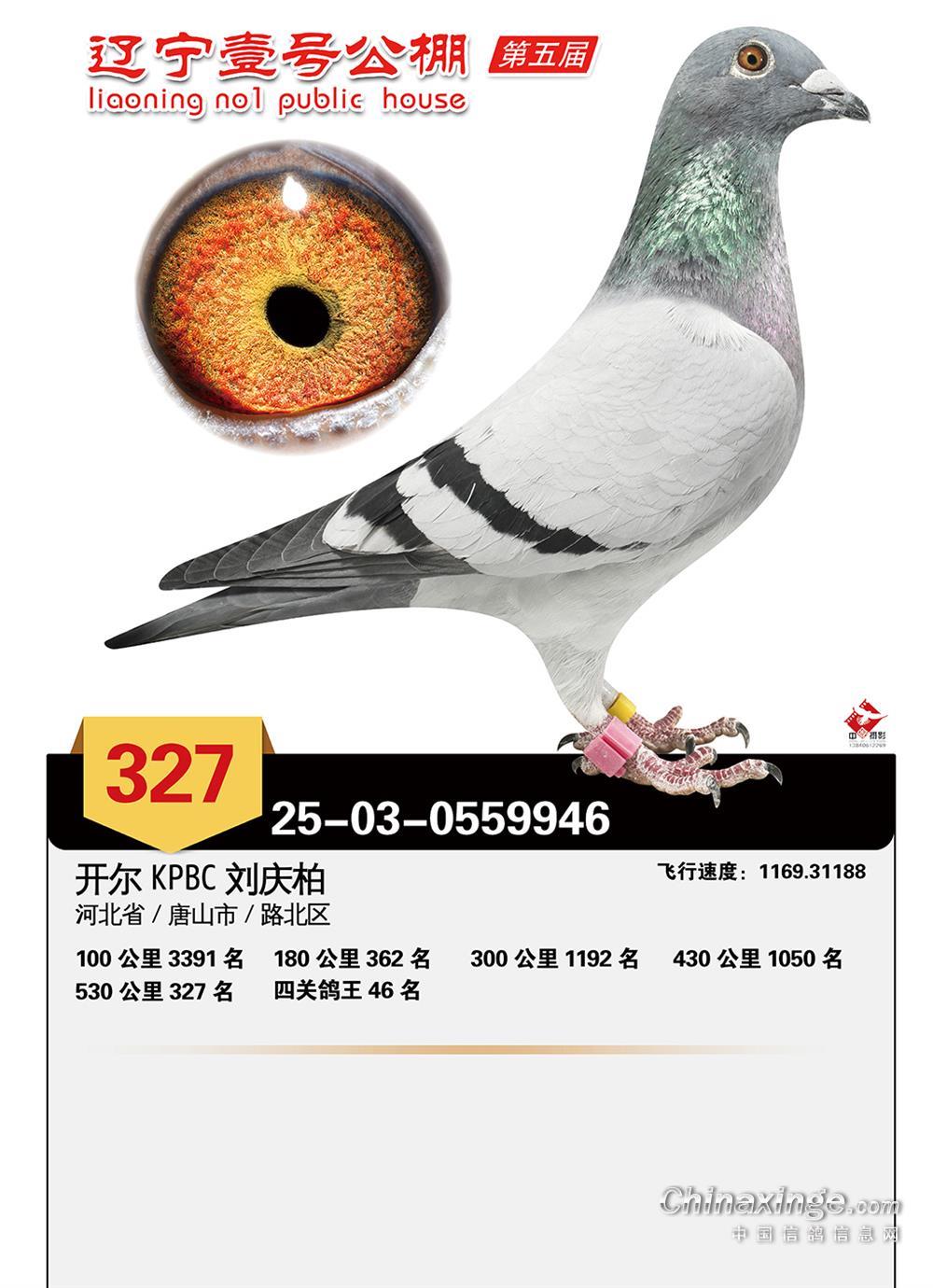 25��������Ҽ�ž���327��