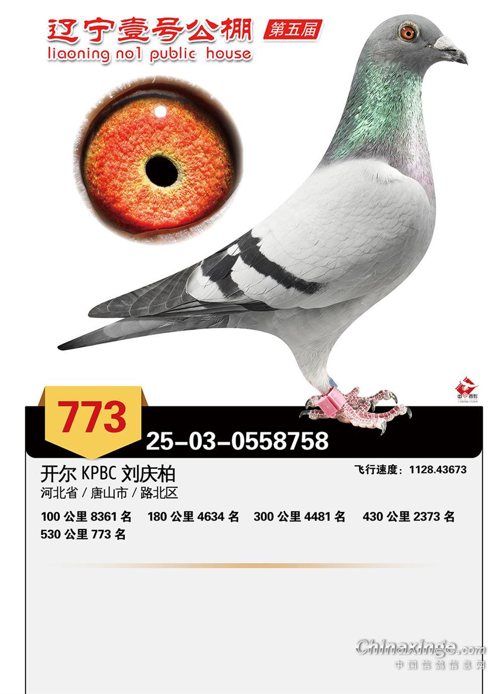 25��������Ҽ�ž���773��