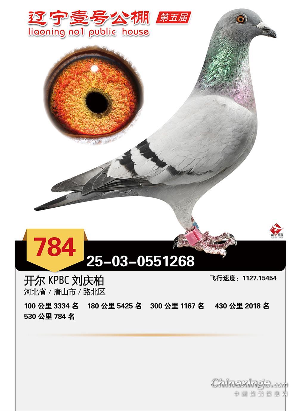 25��������Ҽ�ž���784��