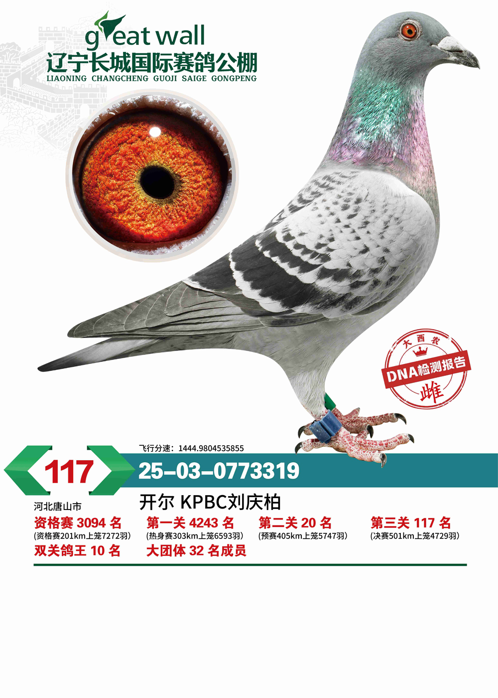 25����������˫�ظ���10��������117