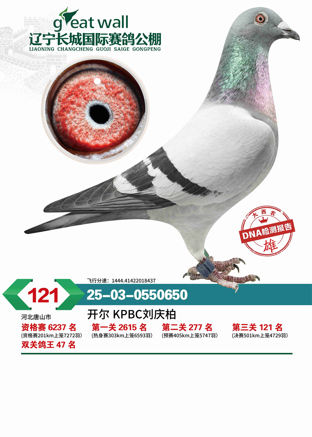 25�����������Ǿ���121��