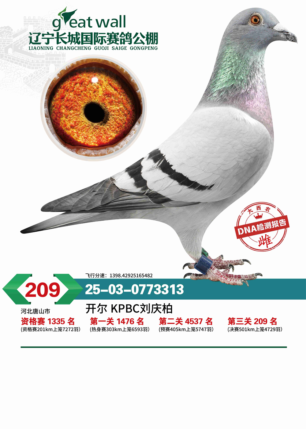 25�����������Ǿ���209��