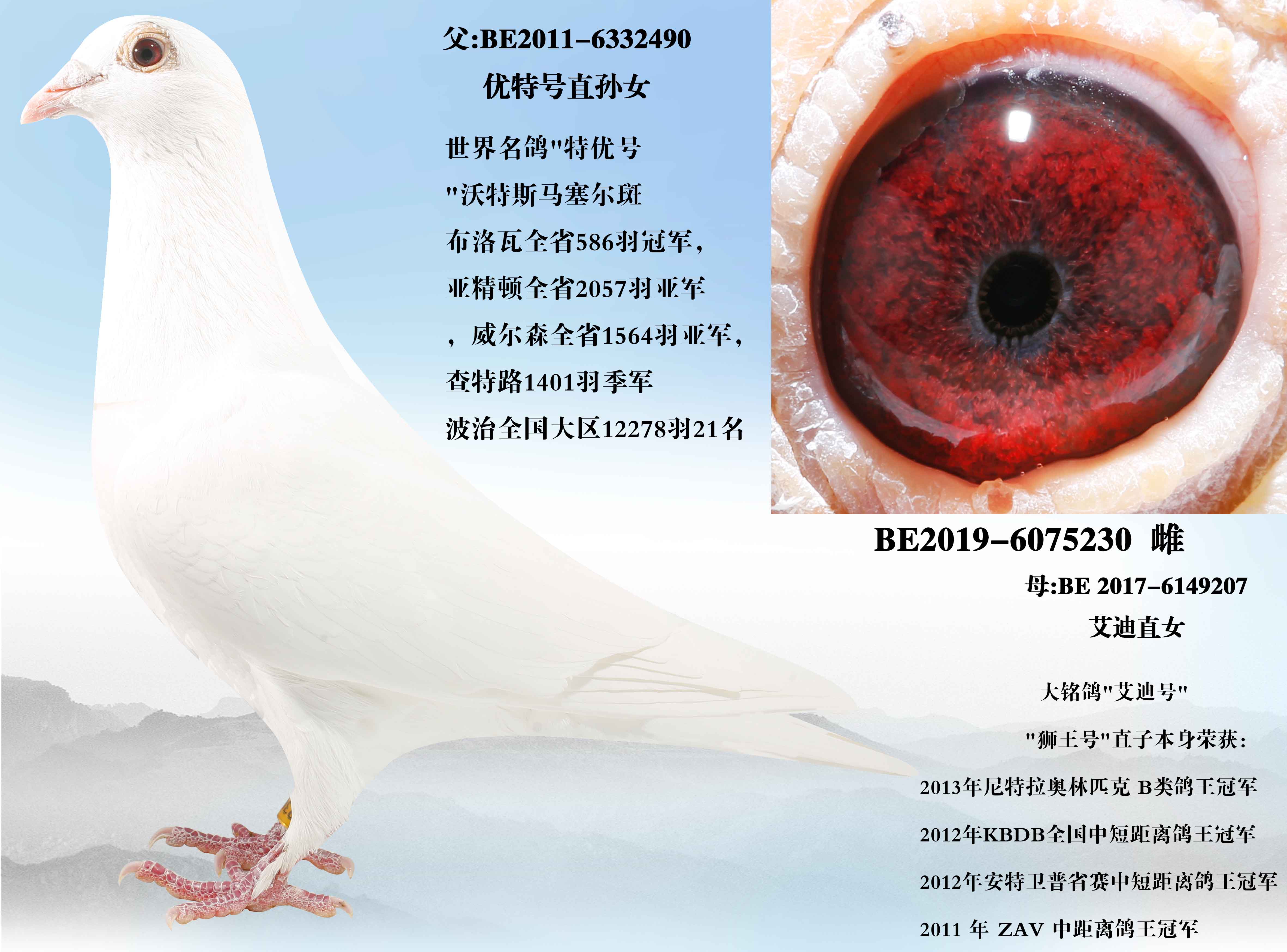 �����źš���Ů