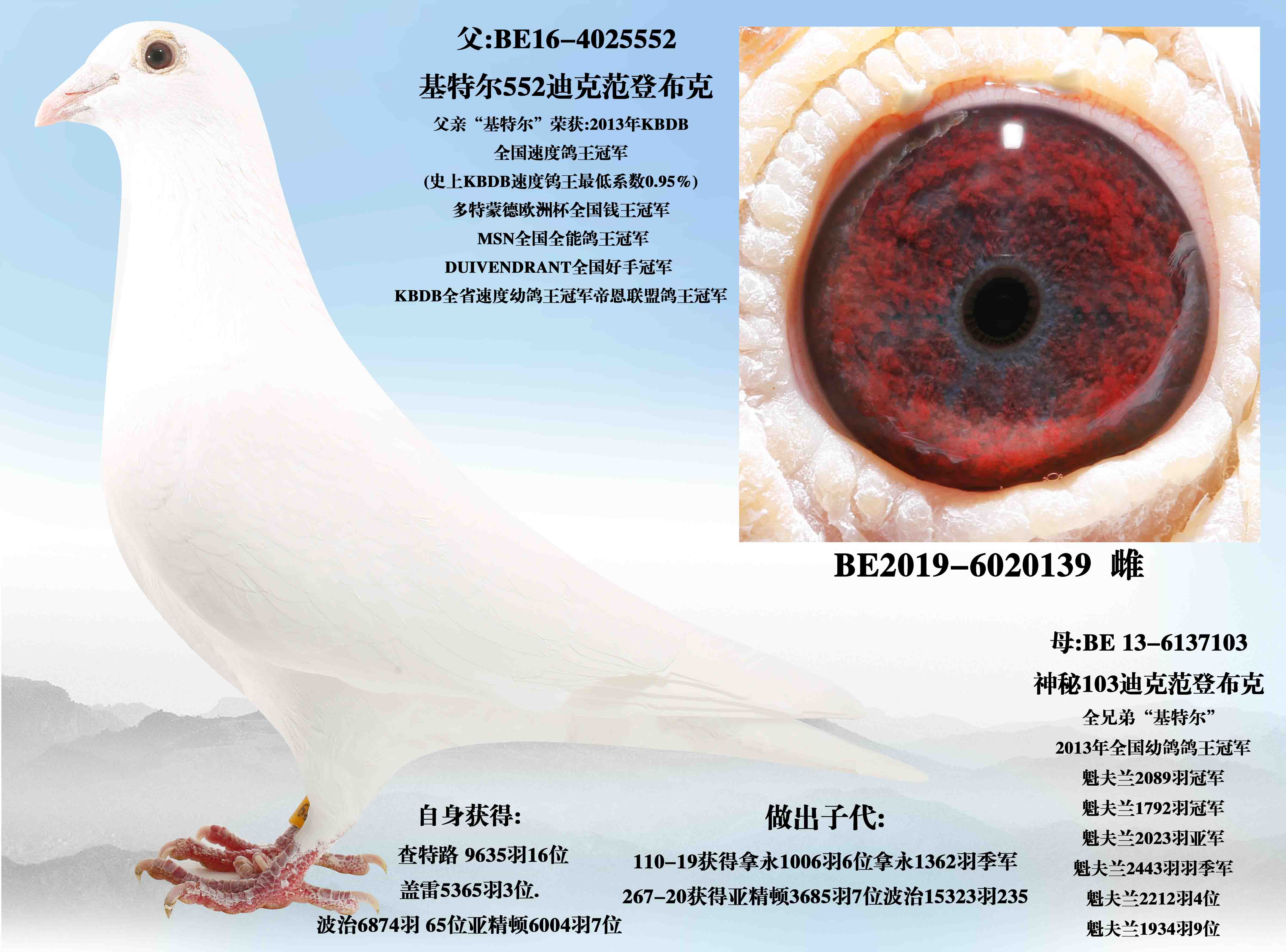 �����Ϻš���Ѫ