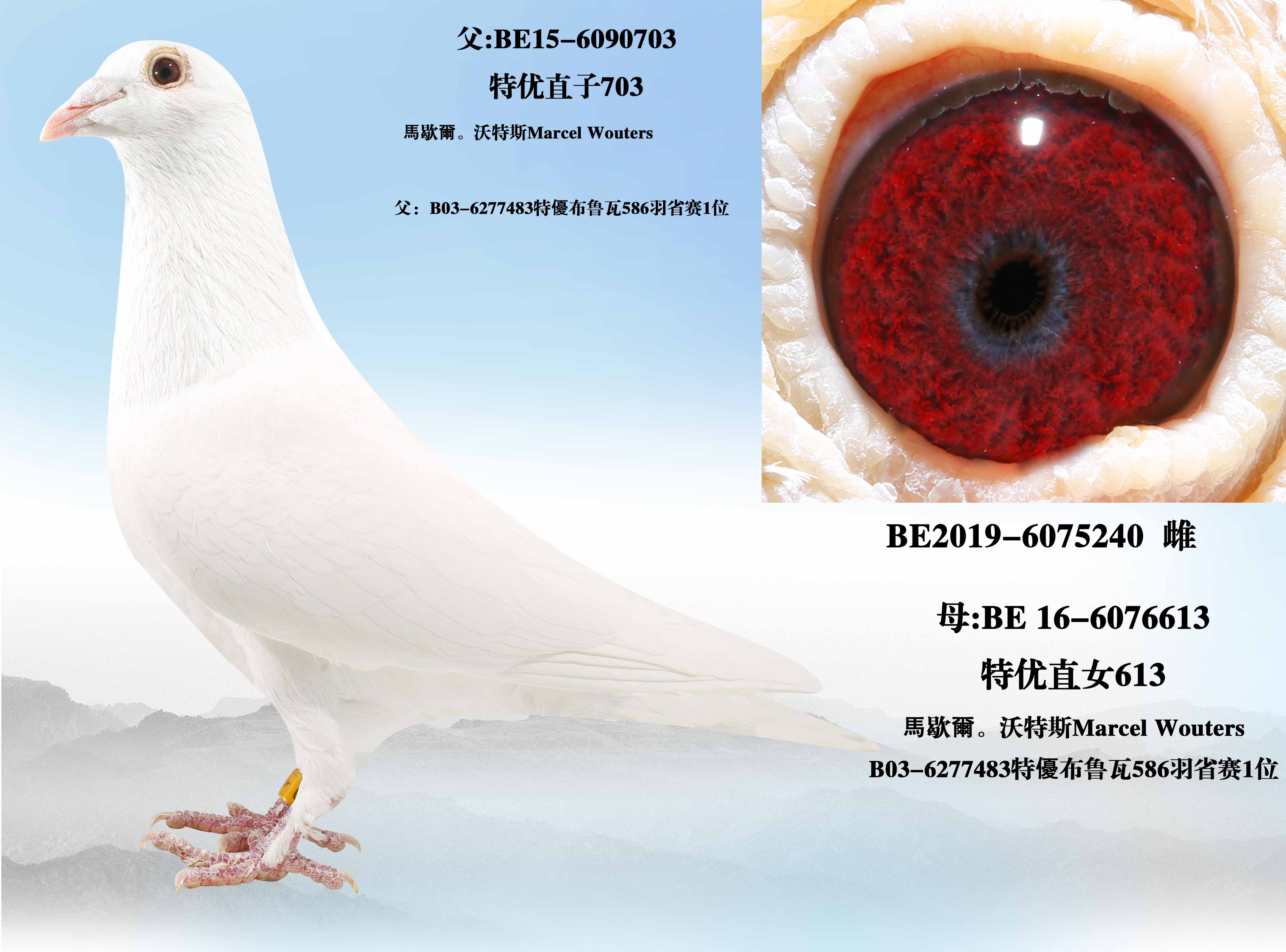 ������ֱ��703��ֱŮ