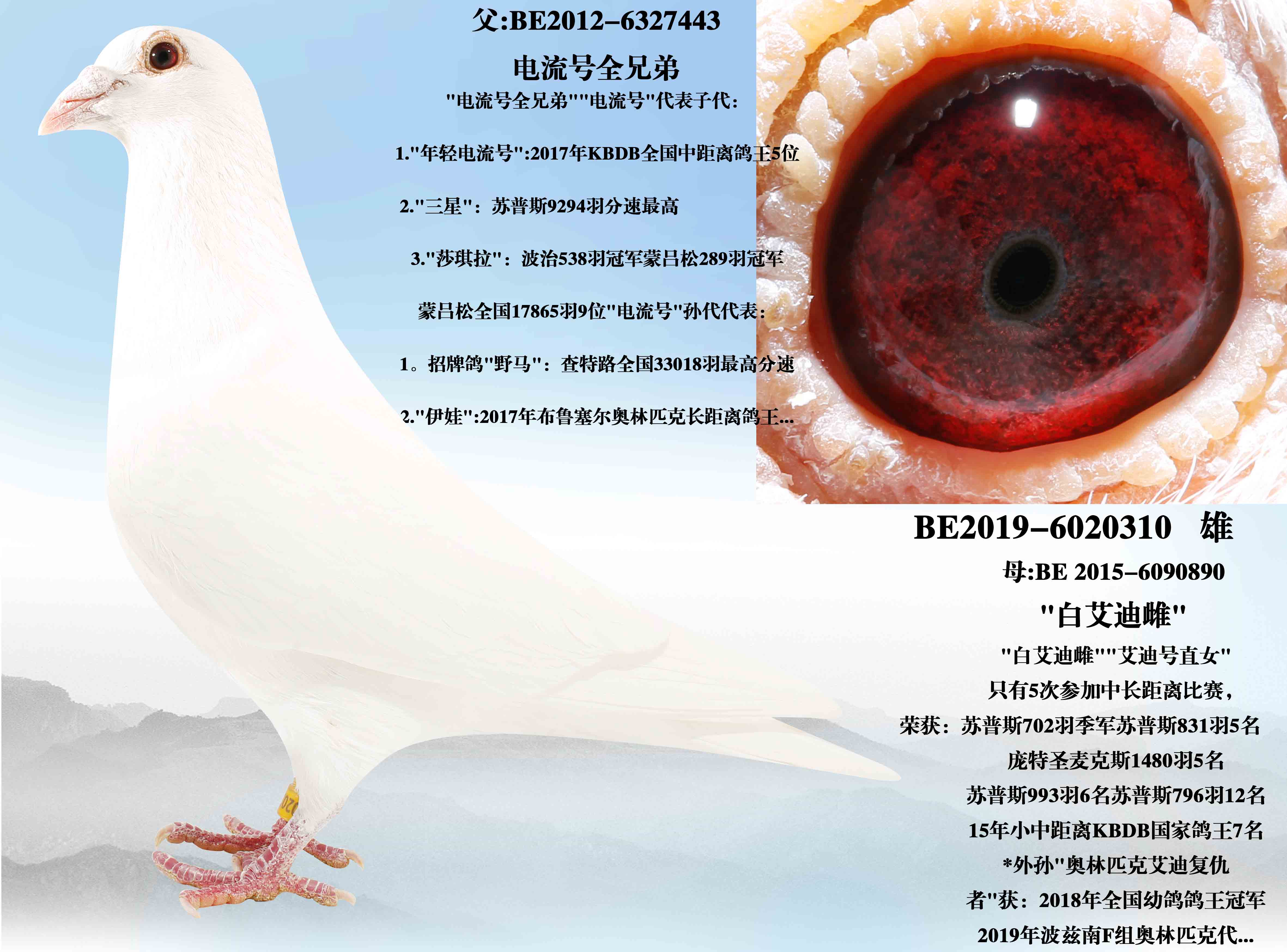 ��������ȫ�ֵ�X���ϴơ�