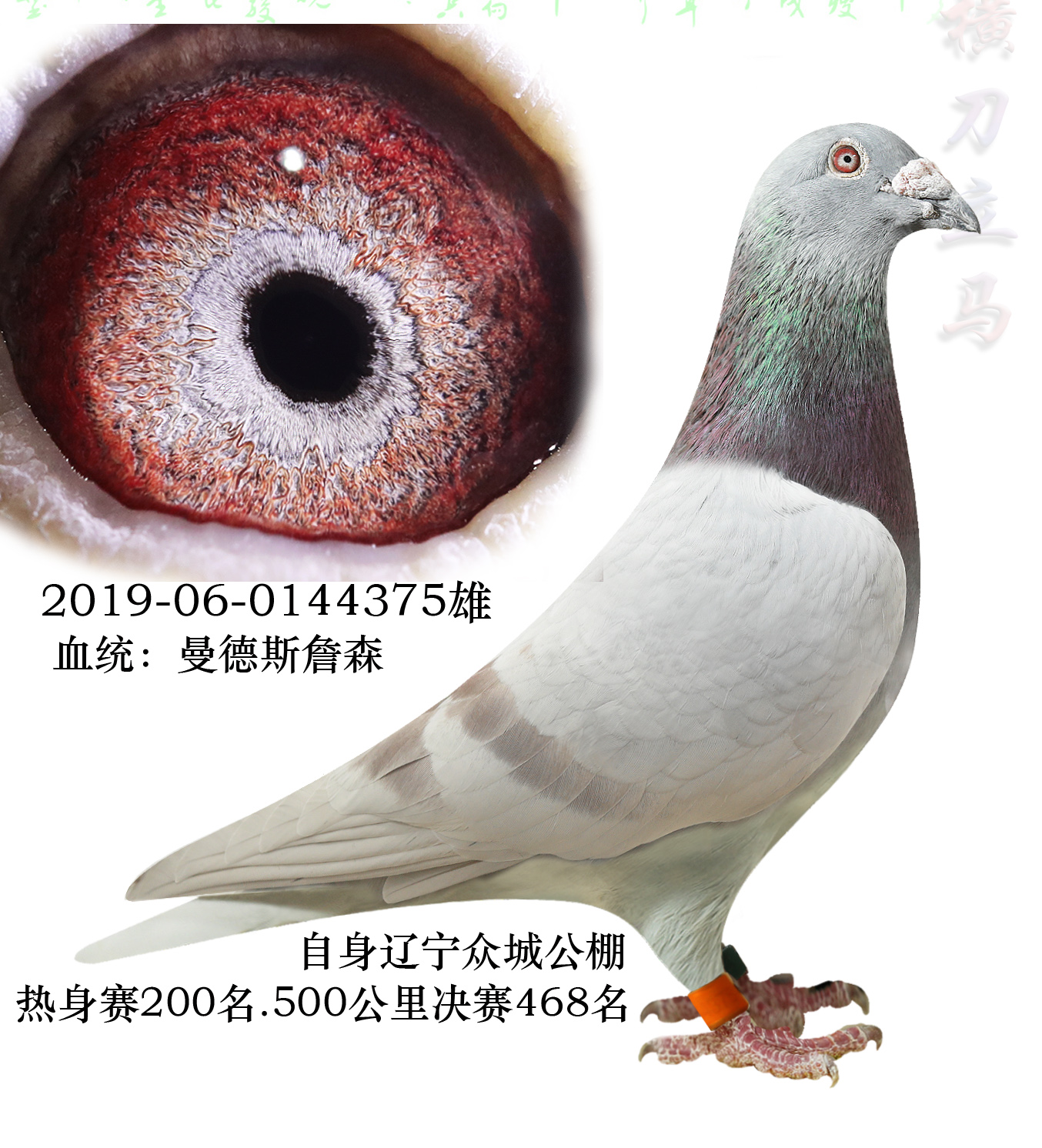 ����˹ղɭ����