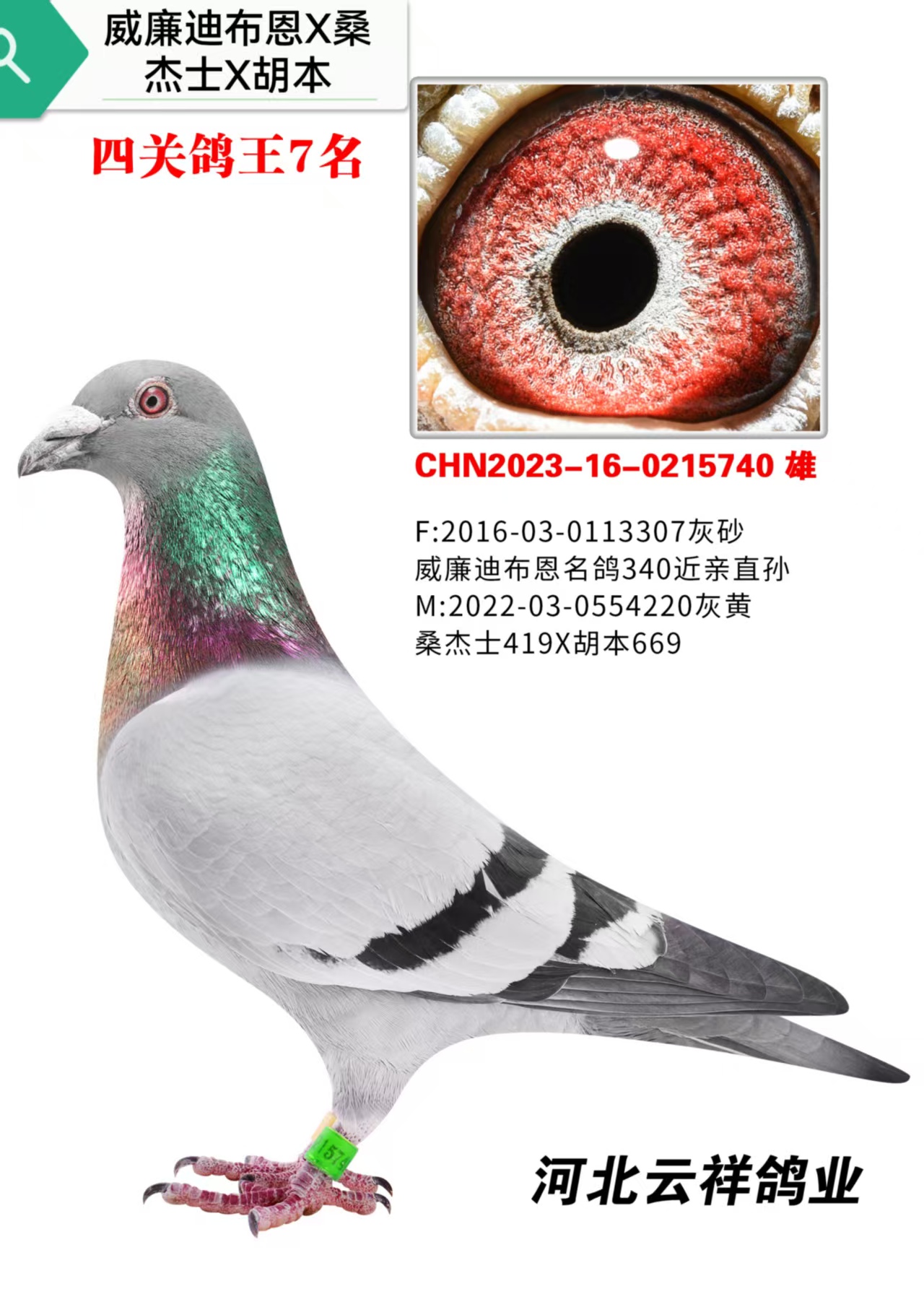 �����ϲ����Ĺ�7��