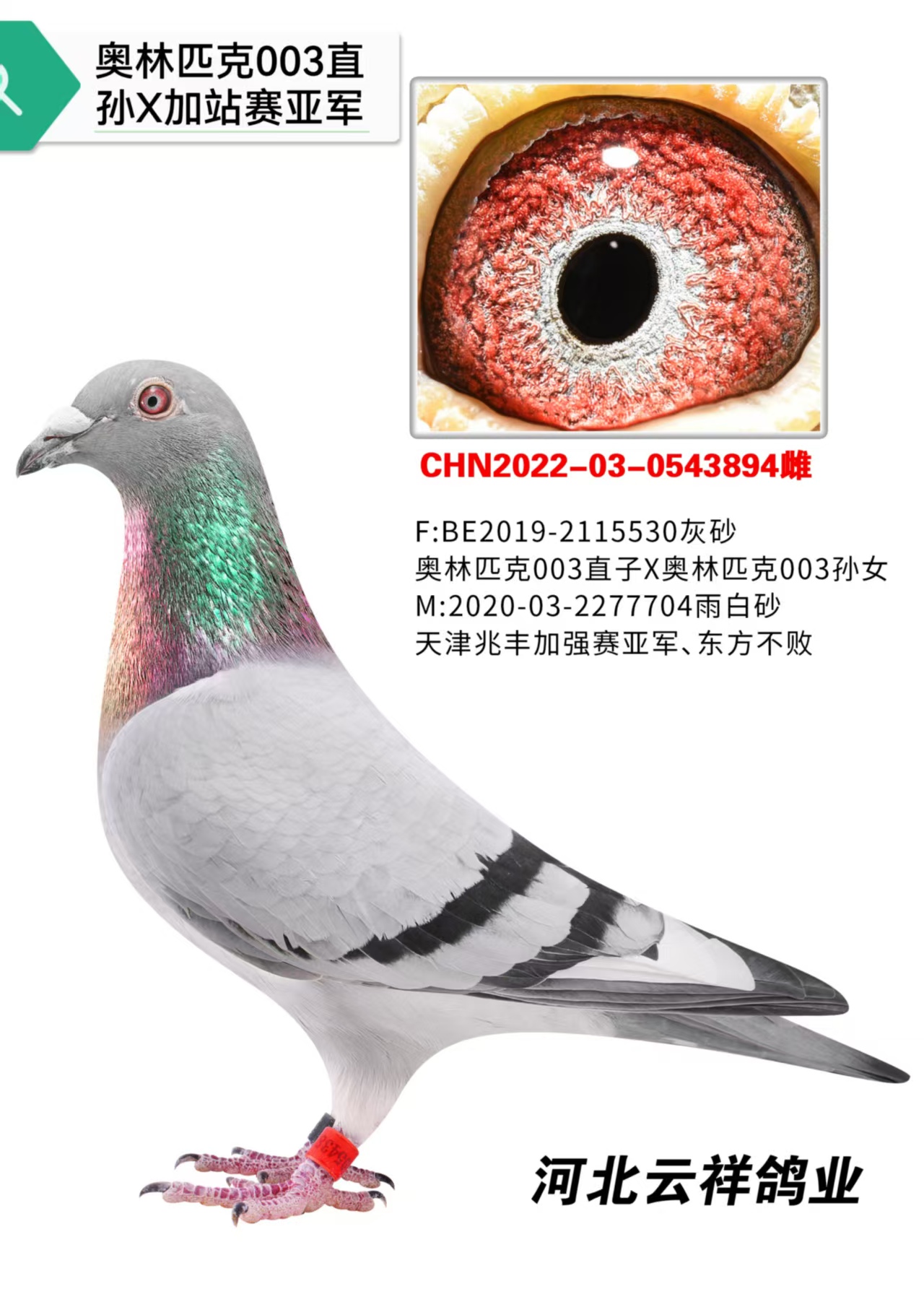 ��վ���Ǿ�ֱŮ