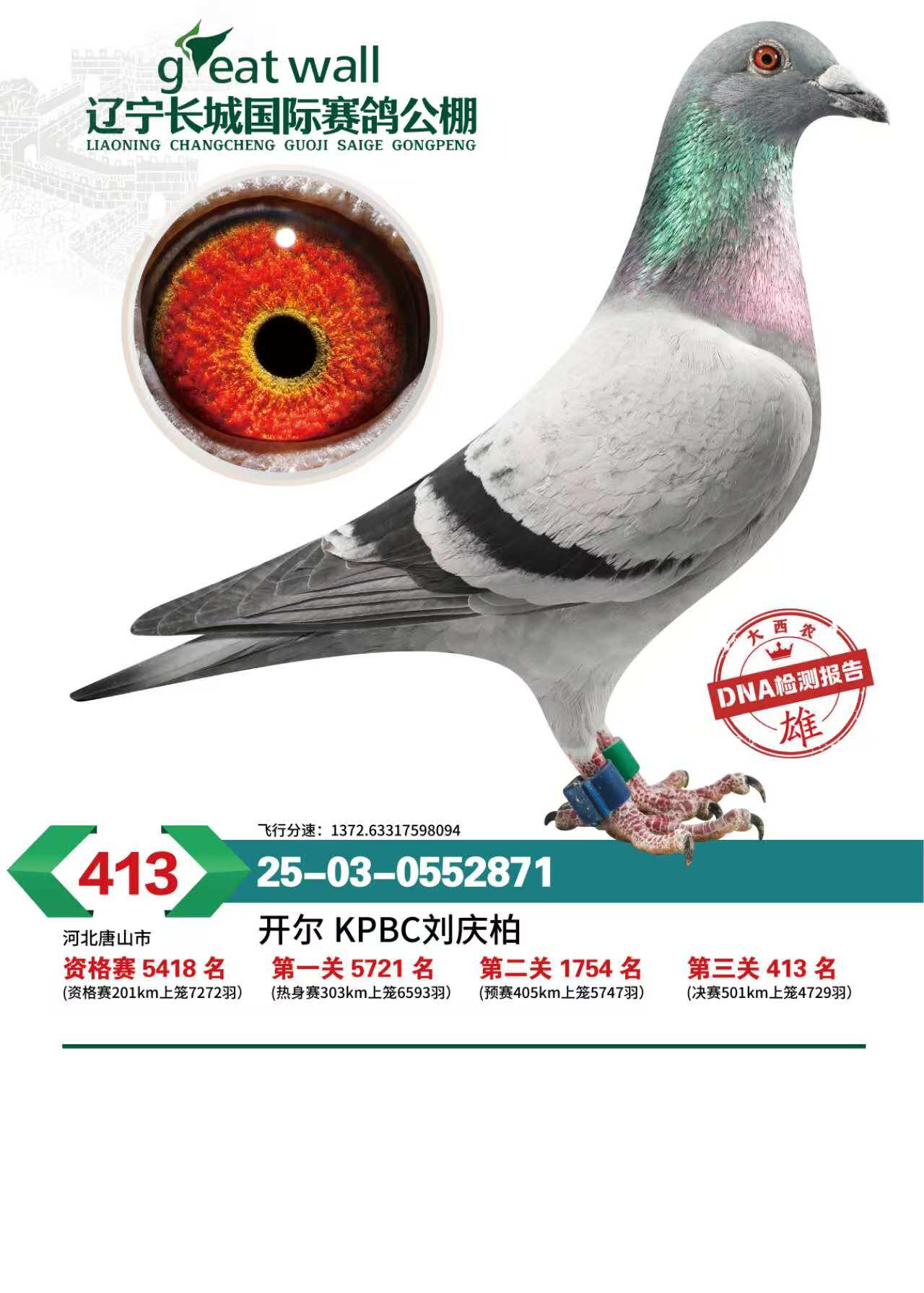 25�����|���L�ǛQِ413��