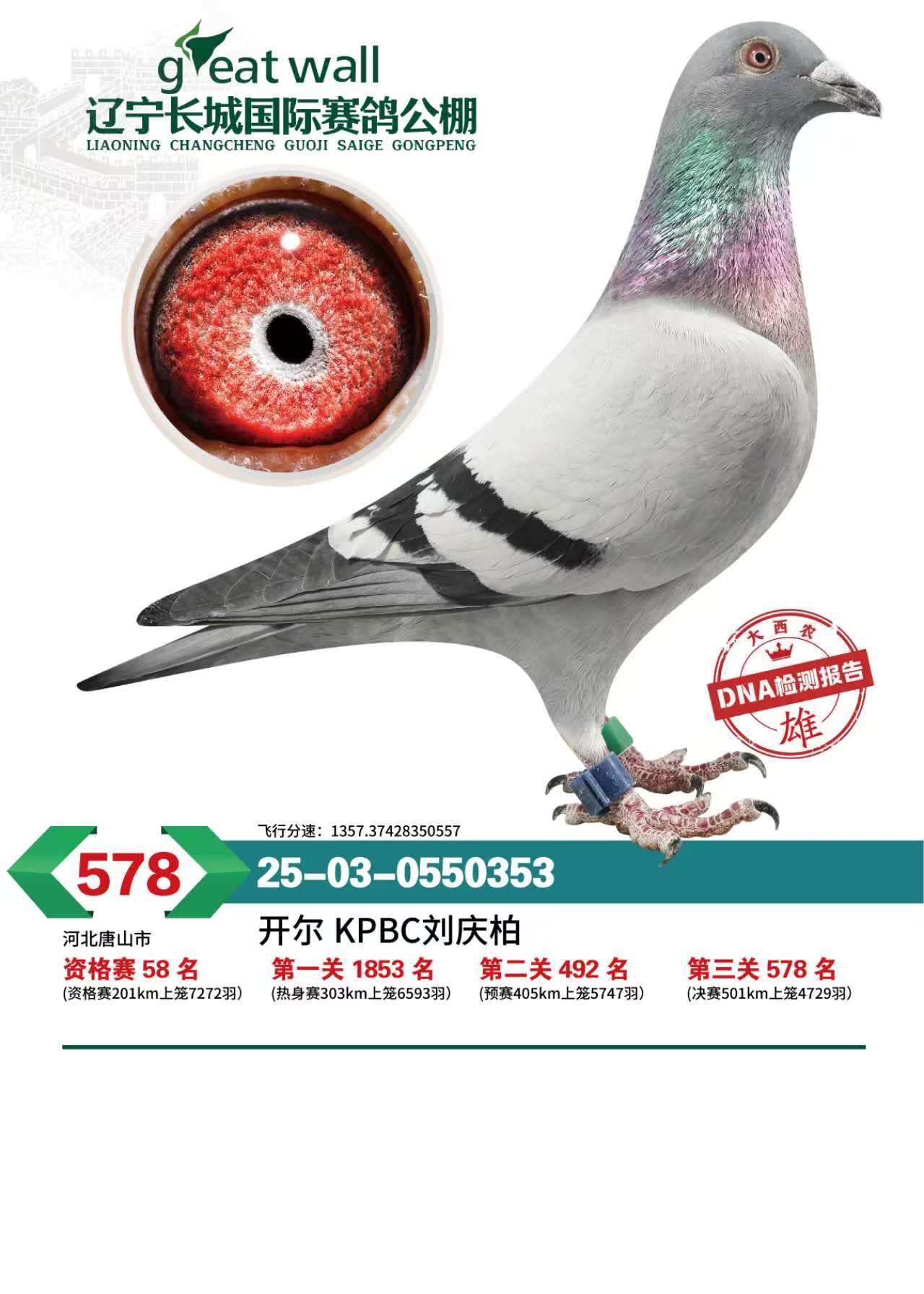 25�����|���L�ǛQِ578��