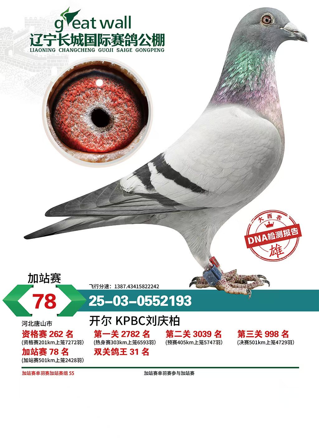 25�����|���L�Ǽ�վِ78��