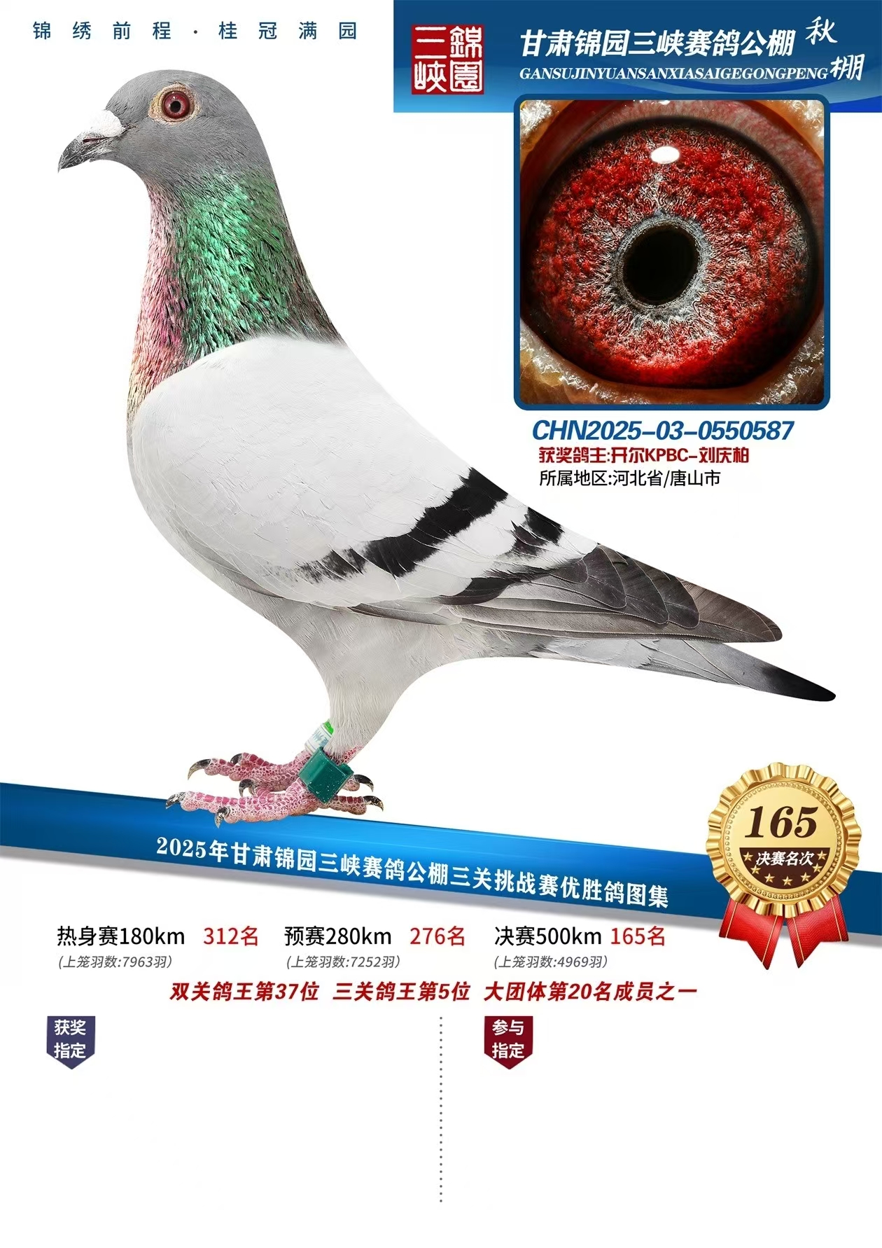 25�����\�@���P(gu��n)����5��