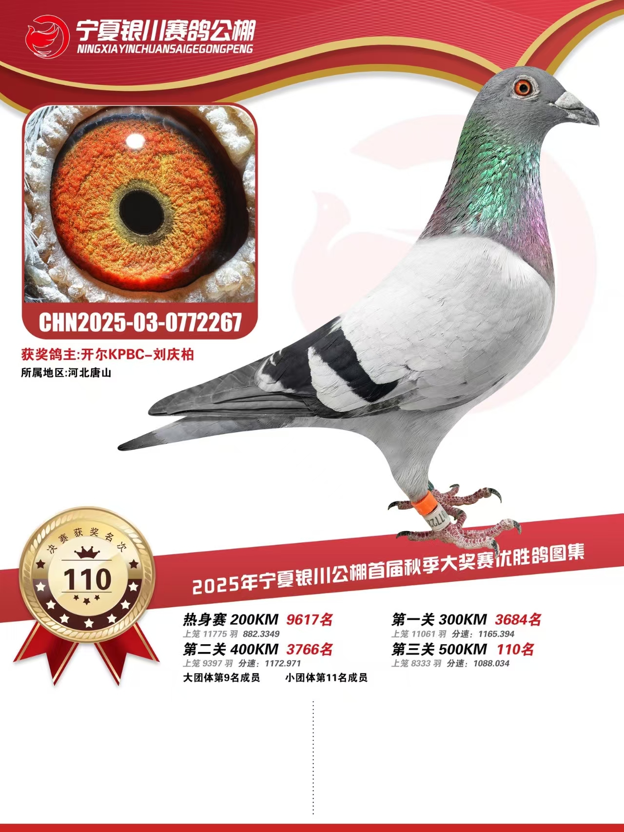 25������y���Qِ110��