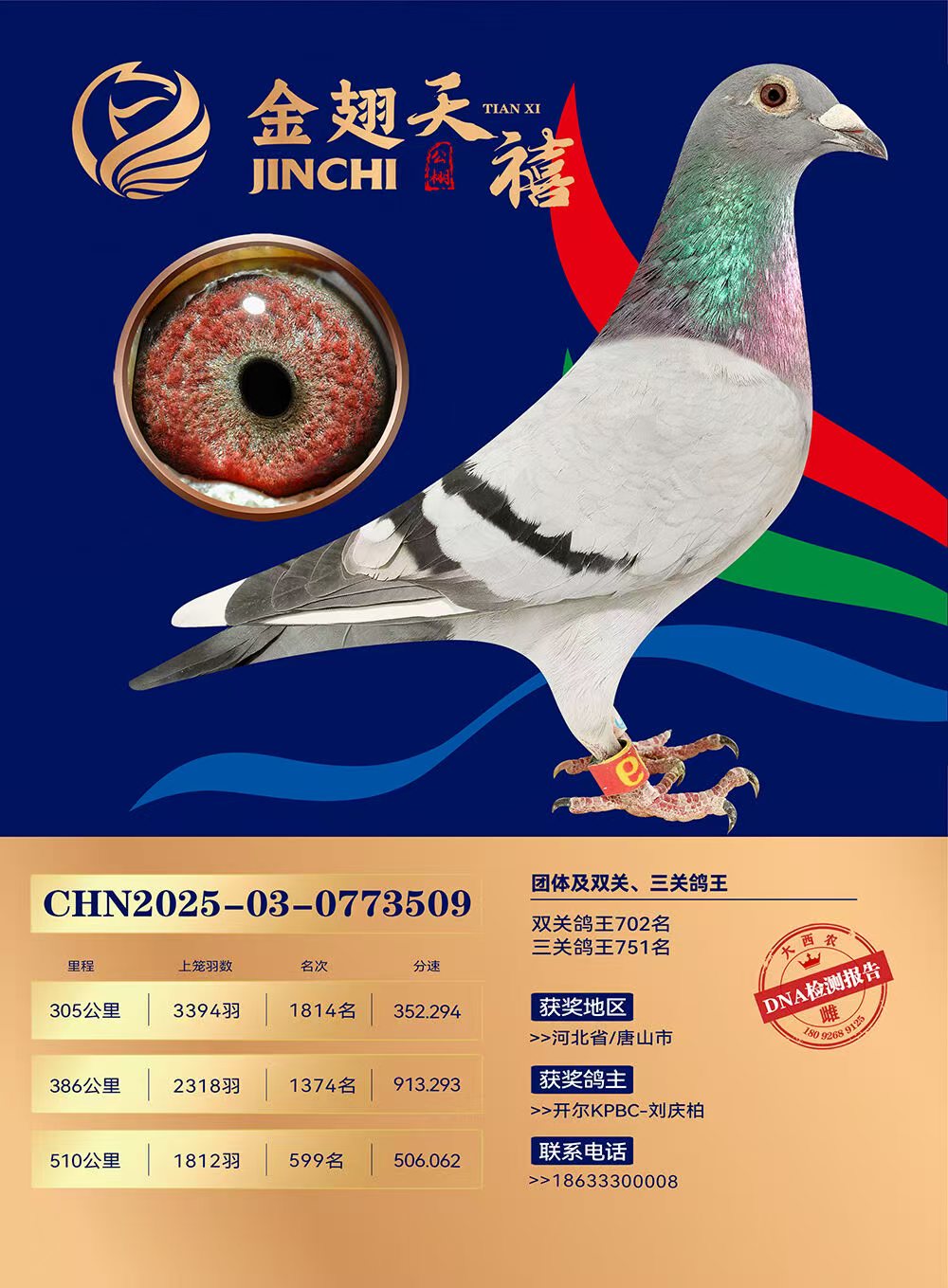 25�����������Qِ599��