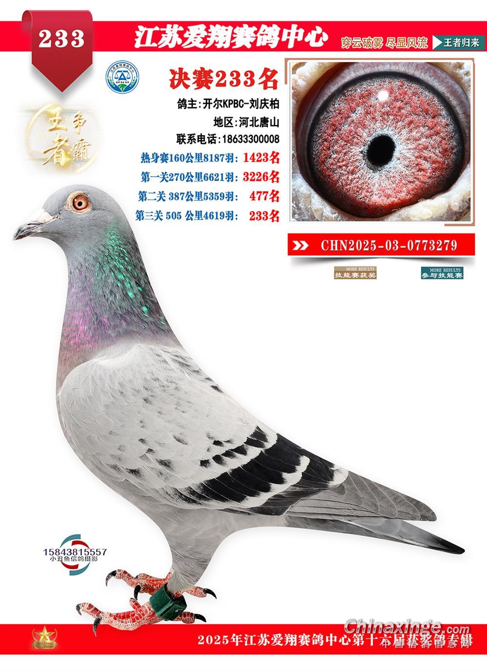 25���ｭ�K��(��i)��Qِ233��