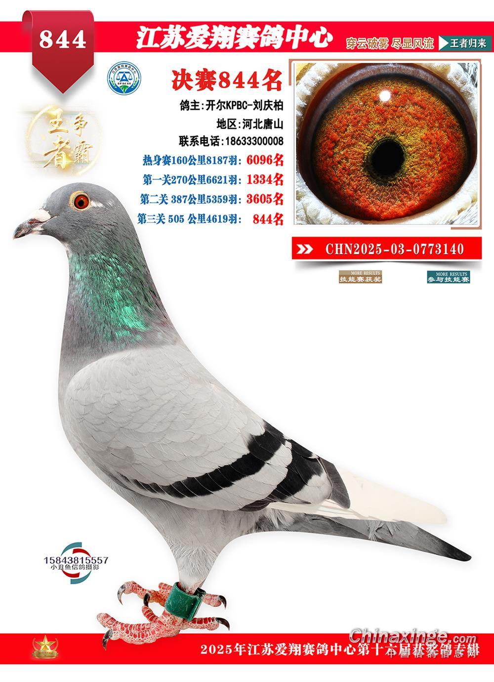 25���ｭ�K����Qِ844��