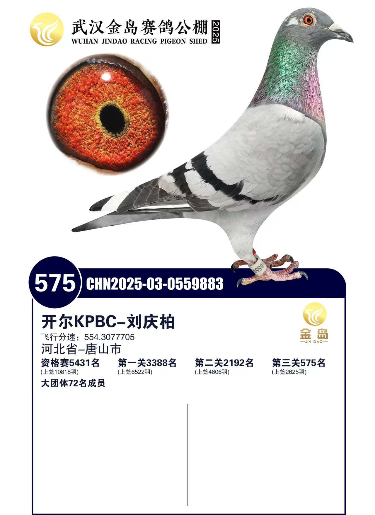 25������h���u�Qِ575��