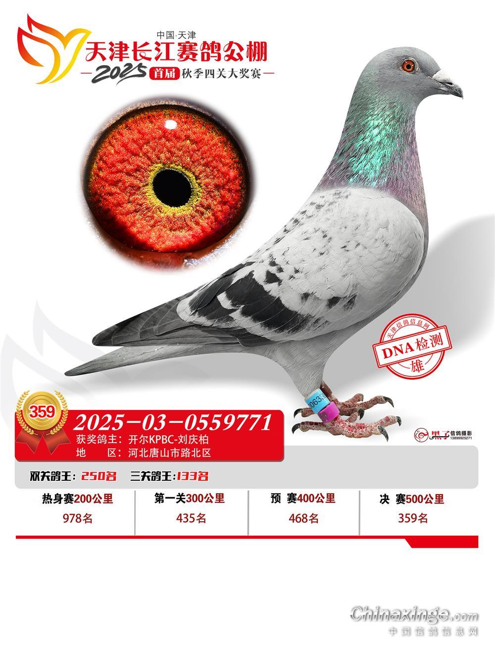 25������򳤽�����359��