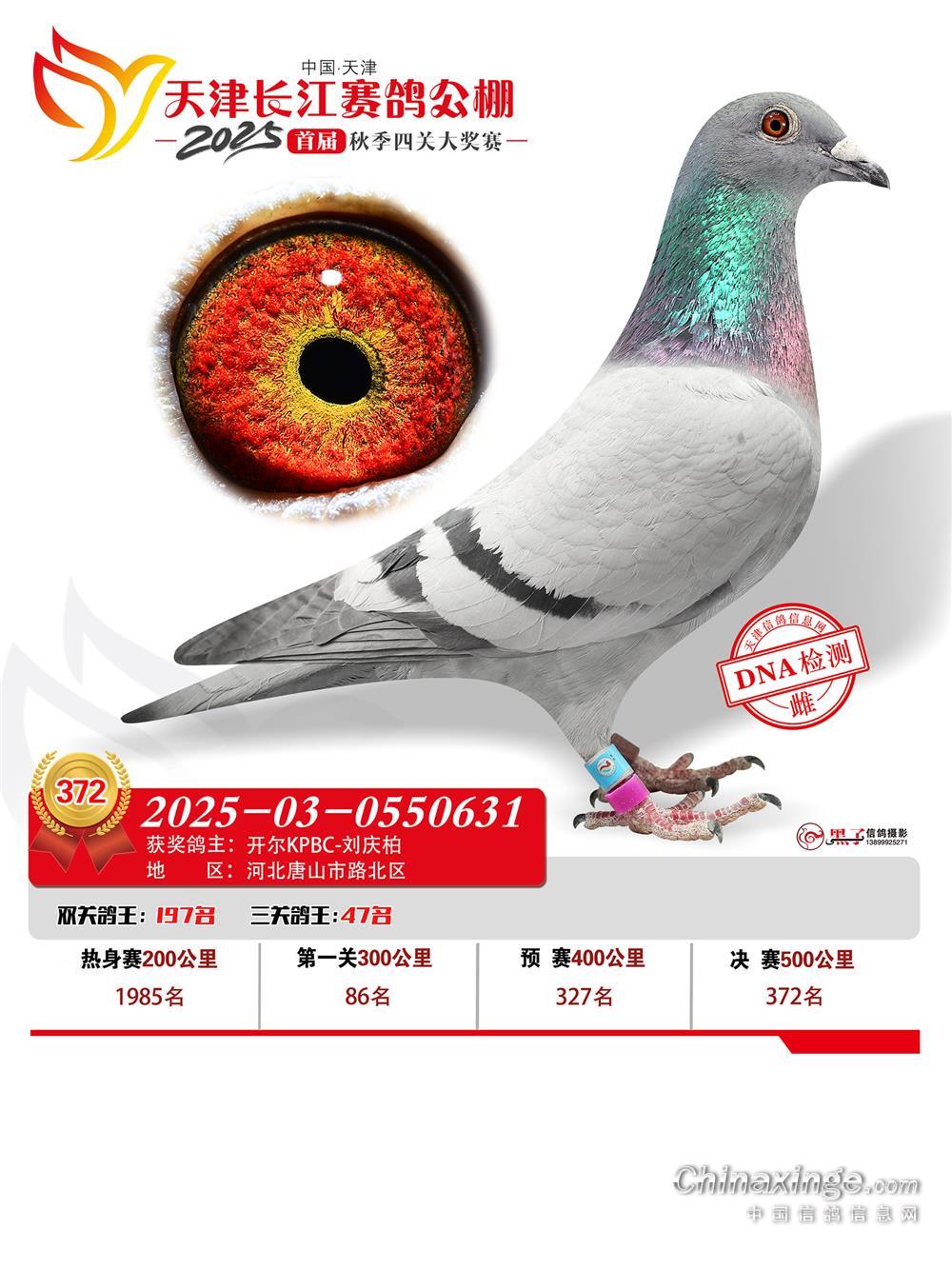 25��������L(zh��ng)���Qِ372��