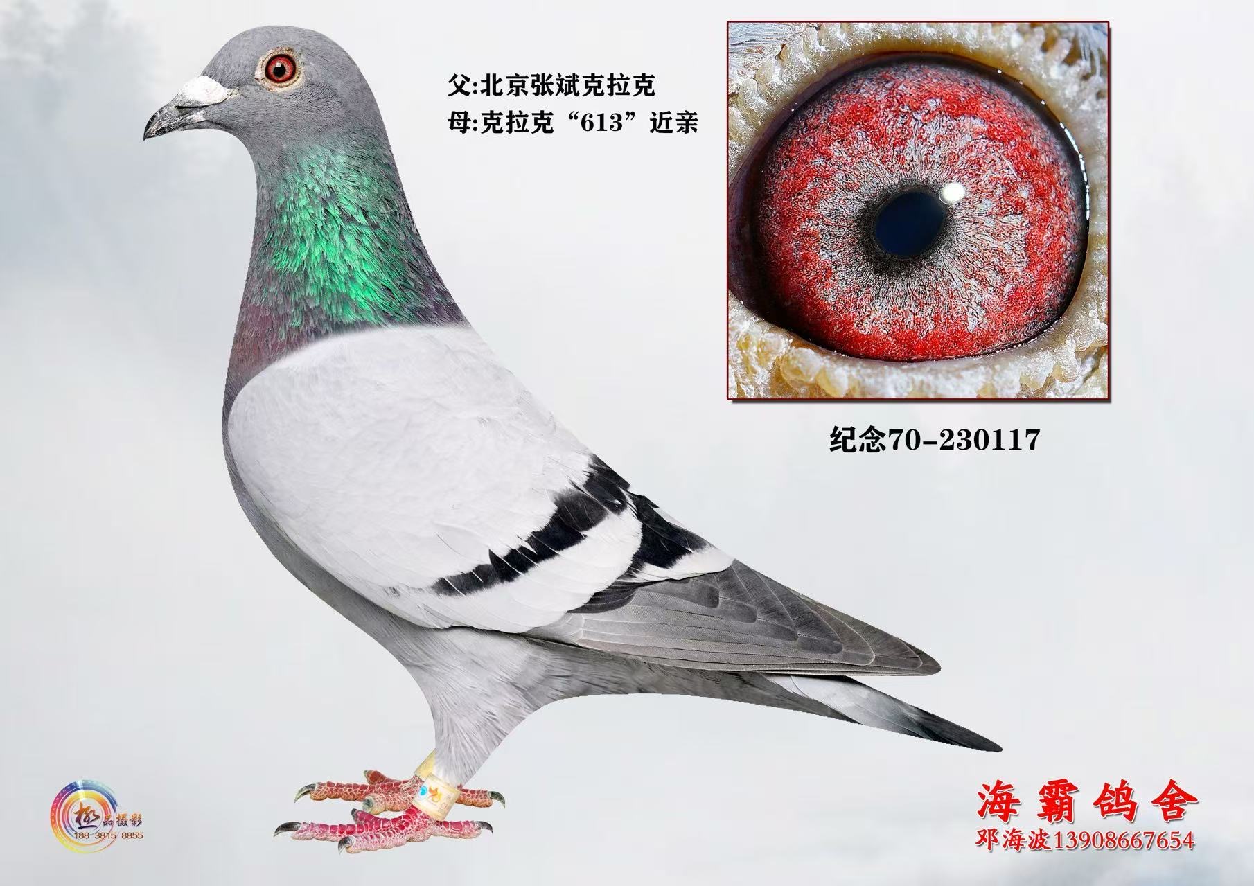 �����ָ�