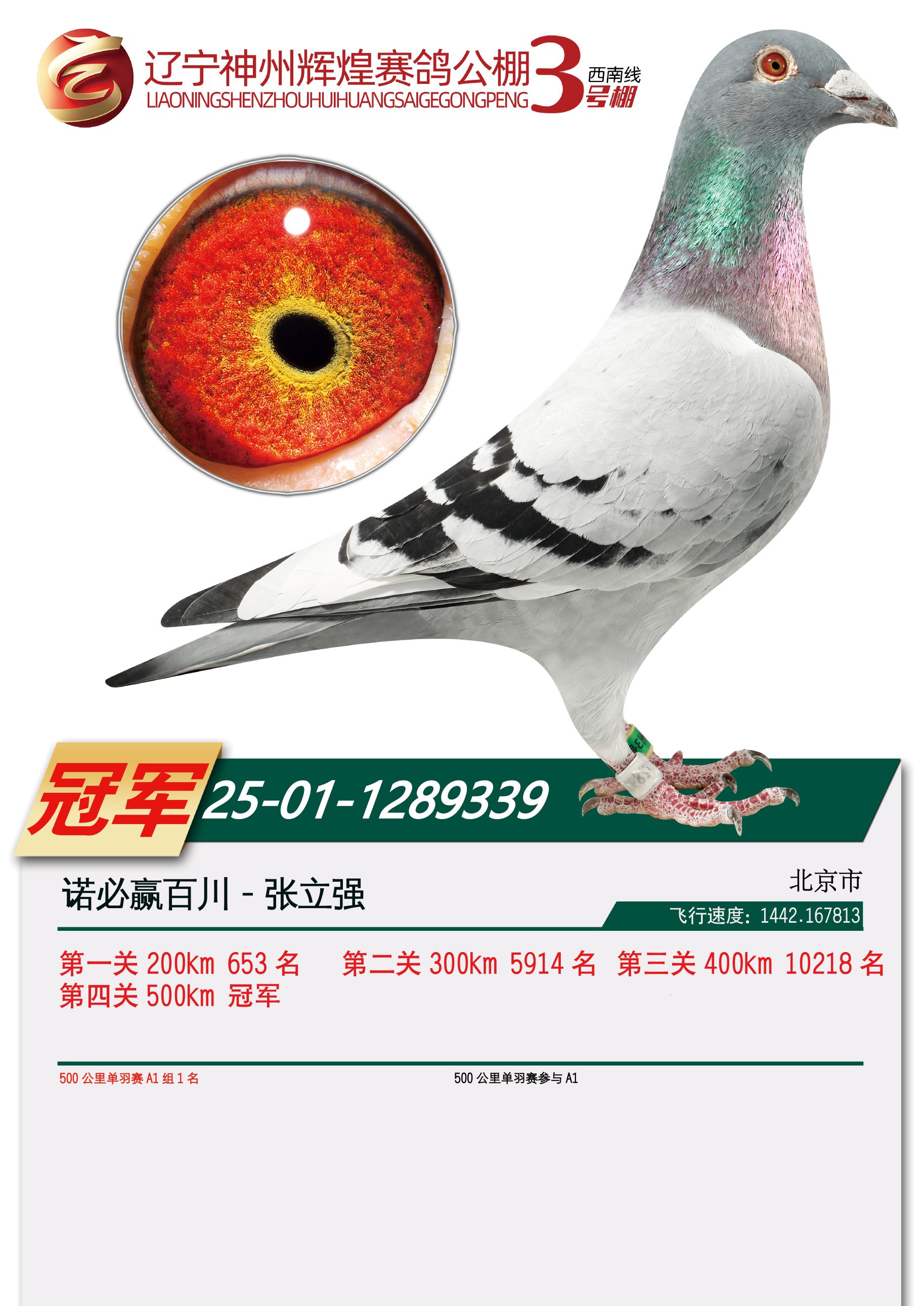 2025�����ݻԻ͹�������ھ�