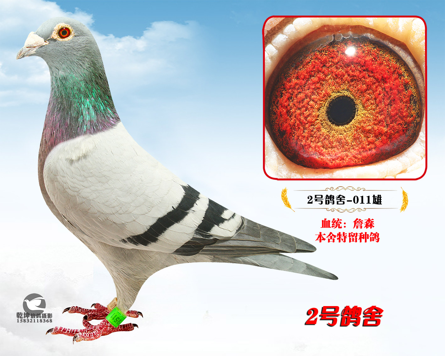 ����ɫ011��