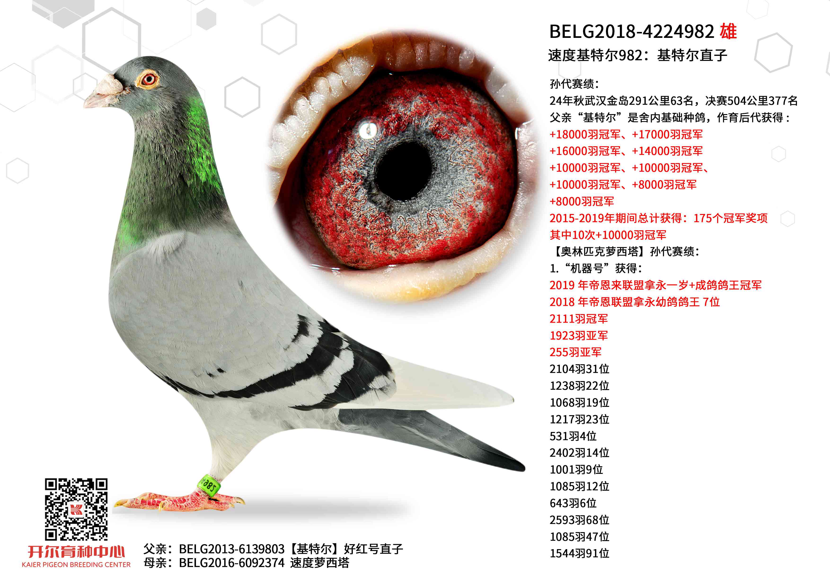 �ٶȻ��ؠ�982�����ؠ�ֱ��