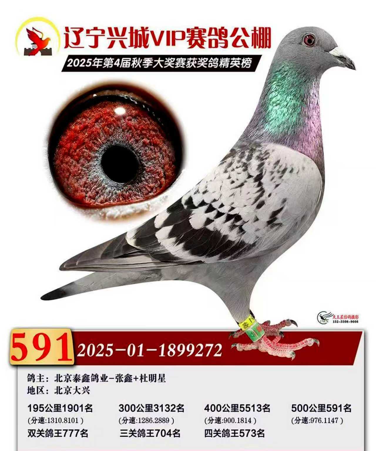 �����˳�vip�������591��