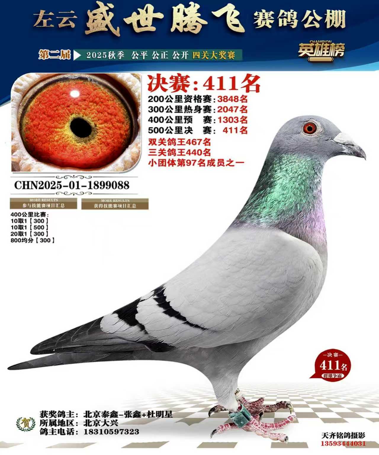 ����ʢ���ڷ����빫�����411��